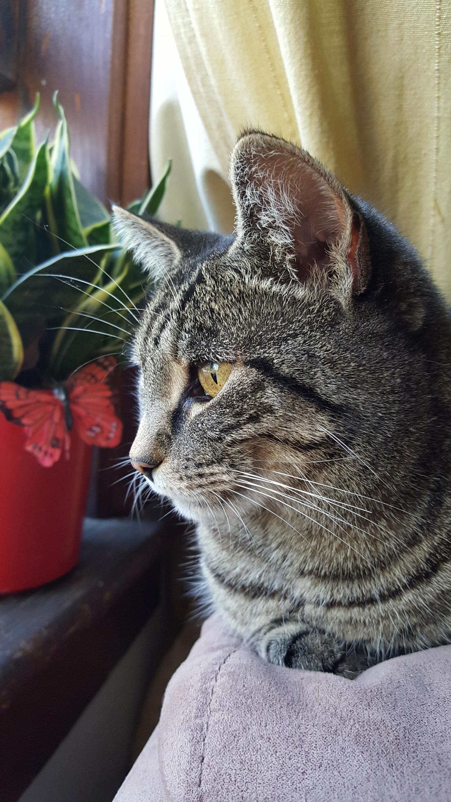 Shes So Intent.