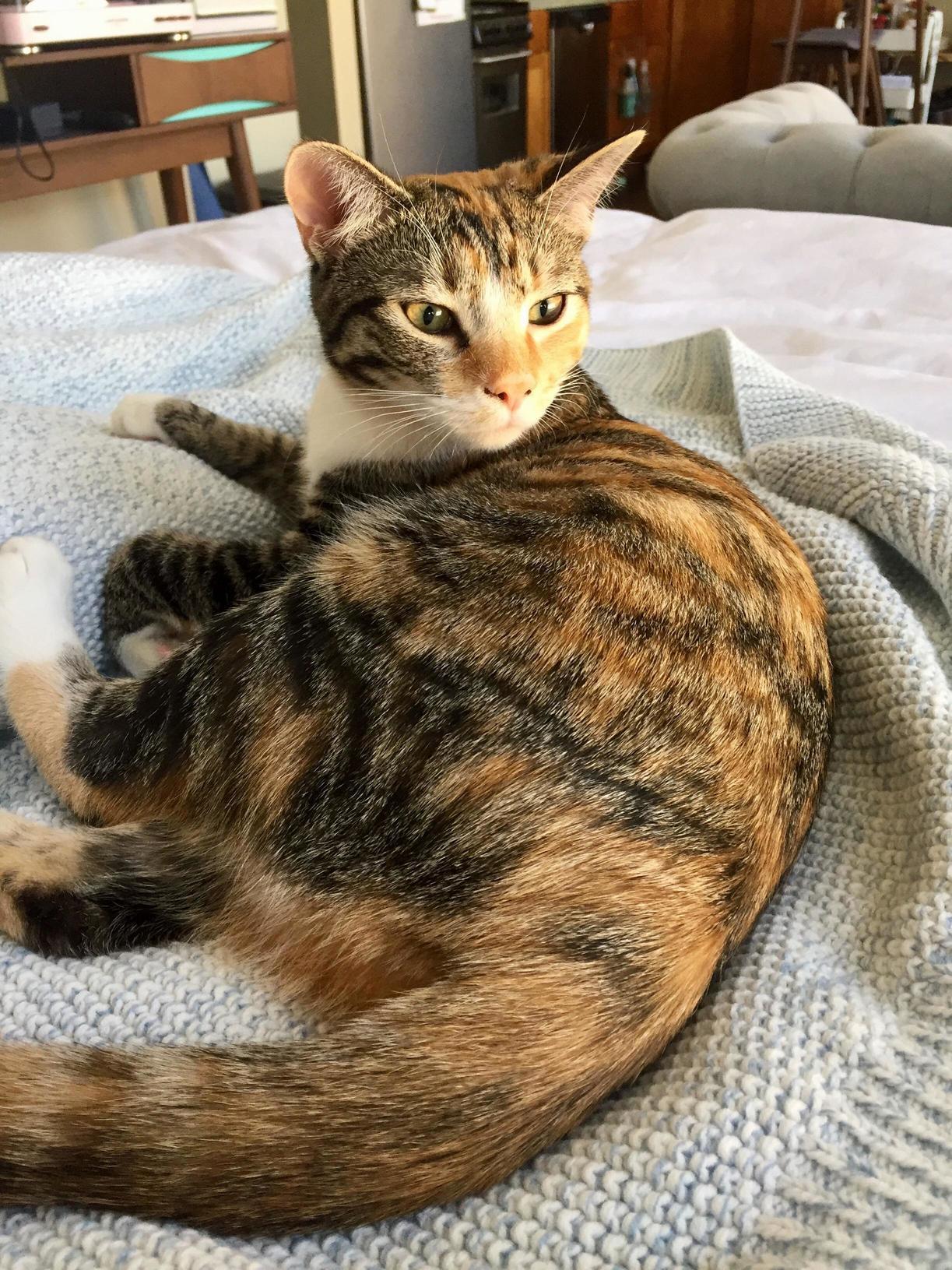Shes the Spawn of Satan but She Sure Is Cute