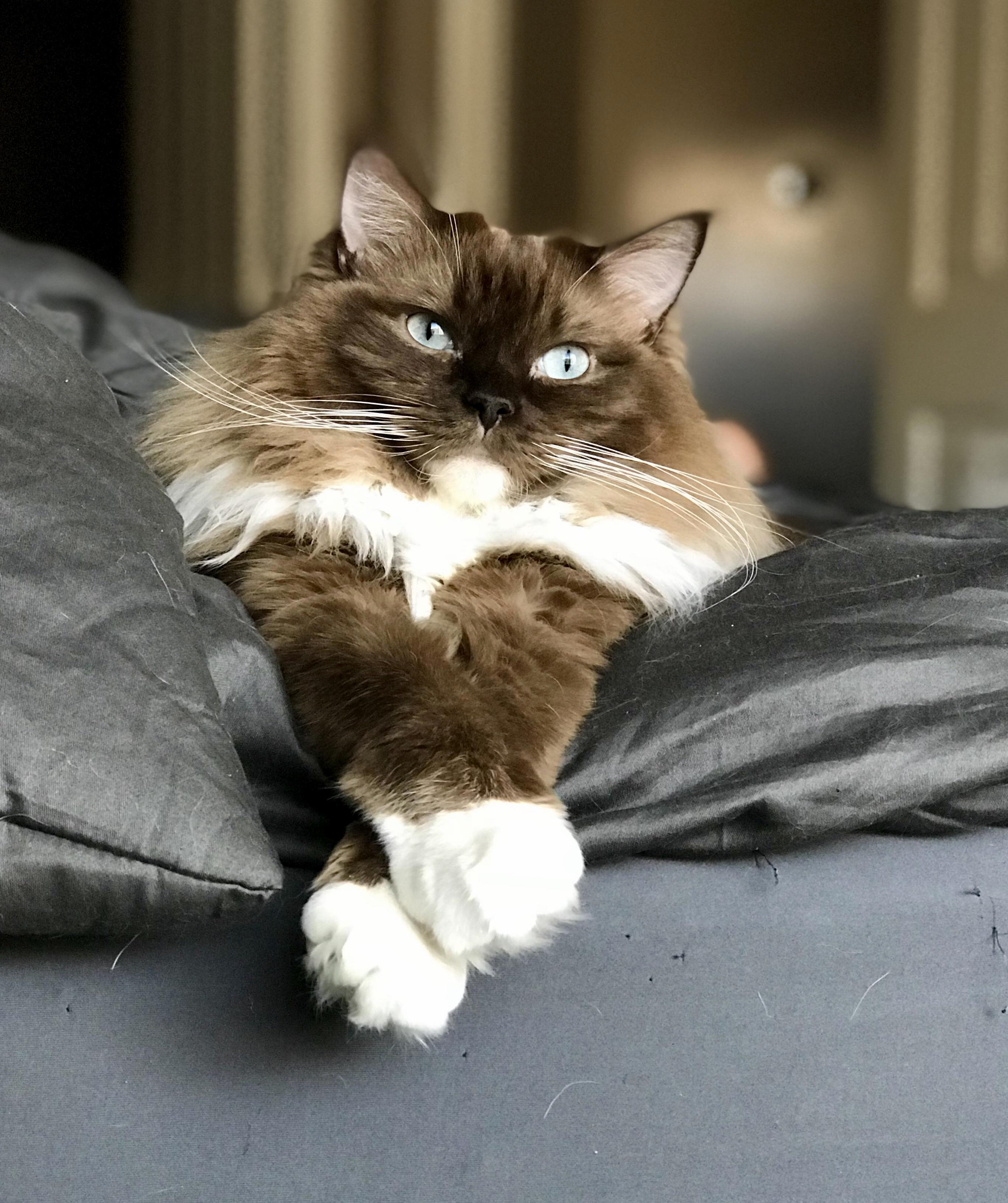 Shes a Proper Lady