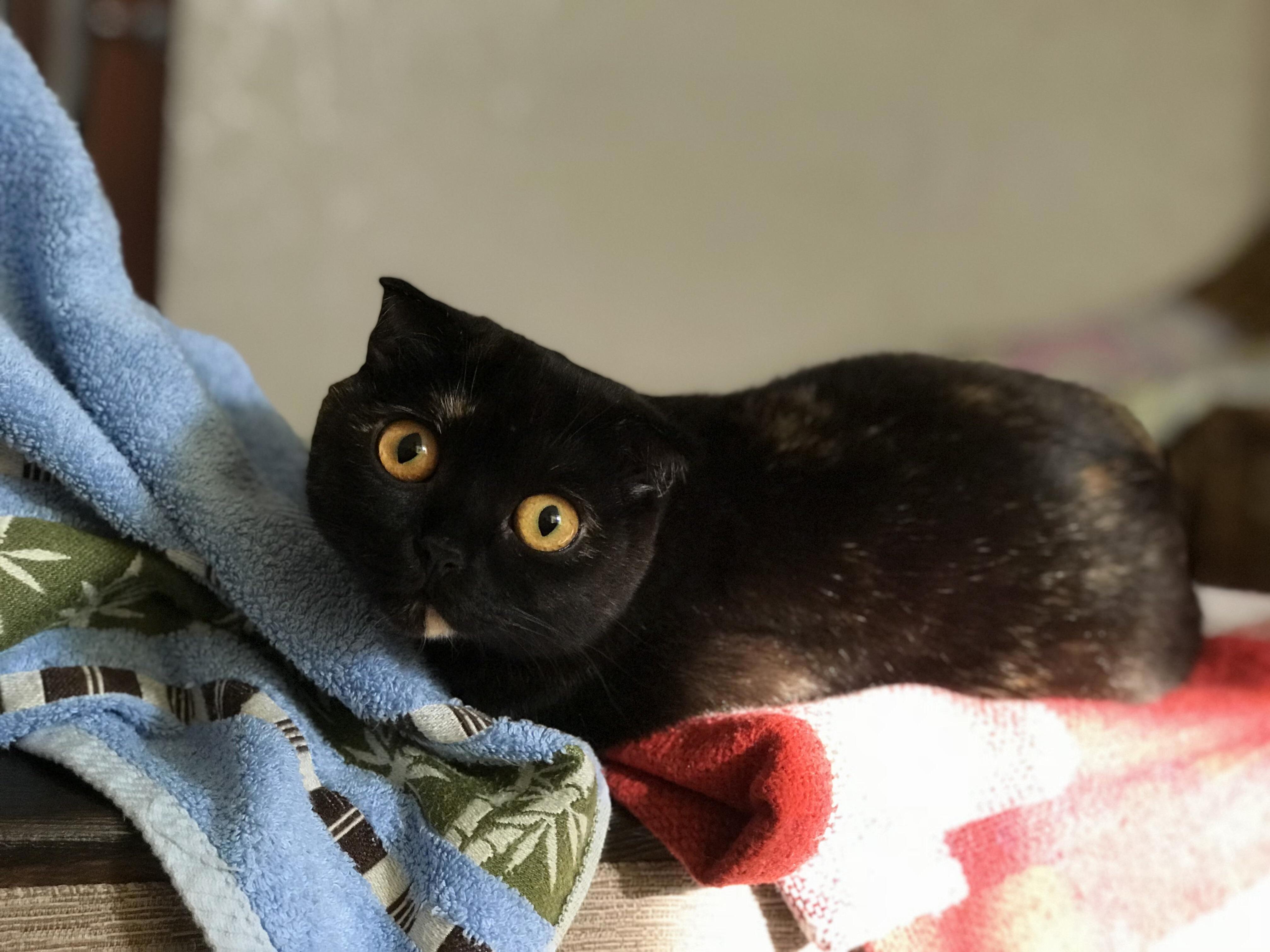 Shes Almost One Year Old, Meet Ruby!