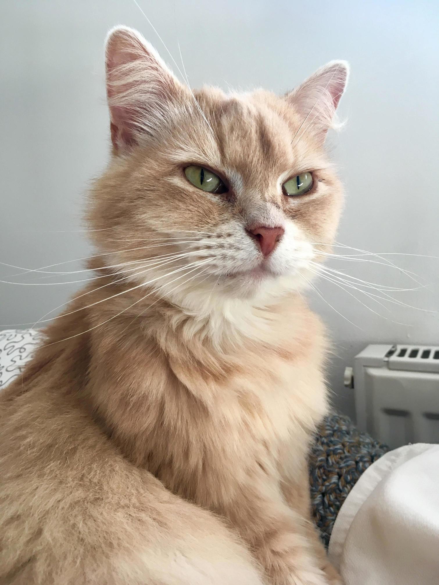 Shes Cute and She Knows It.