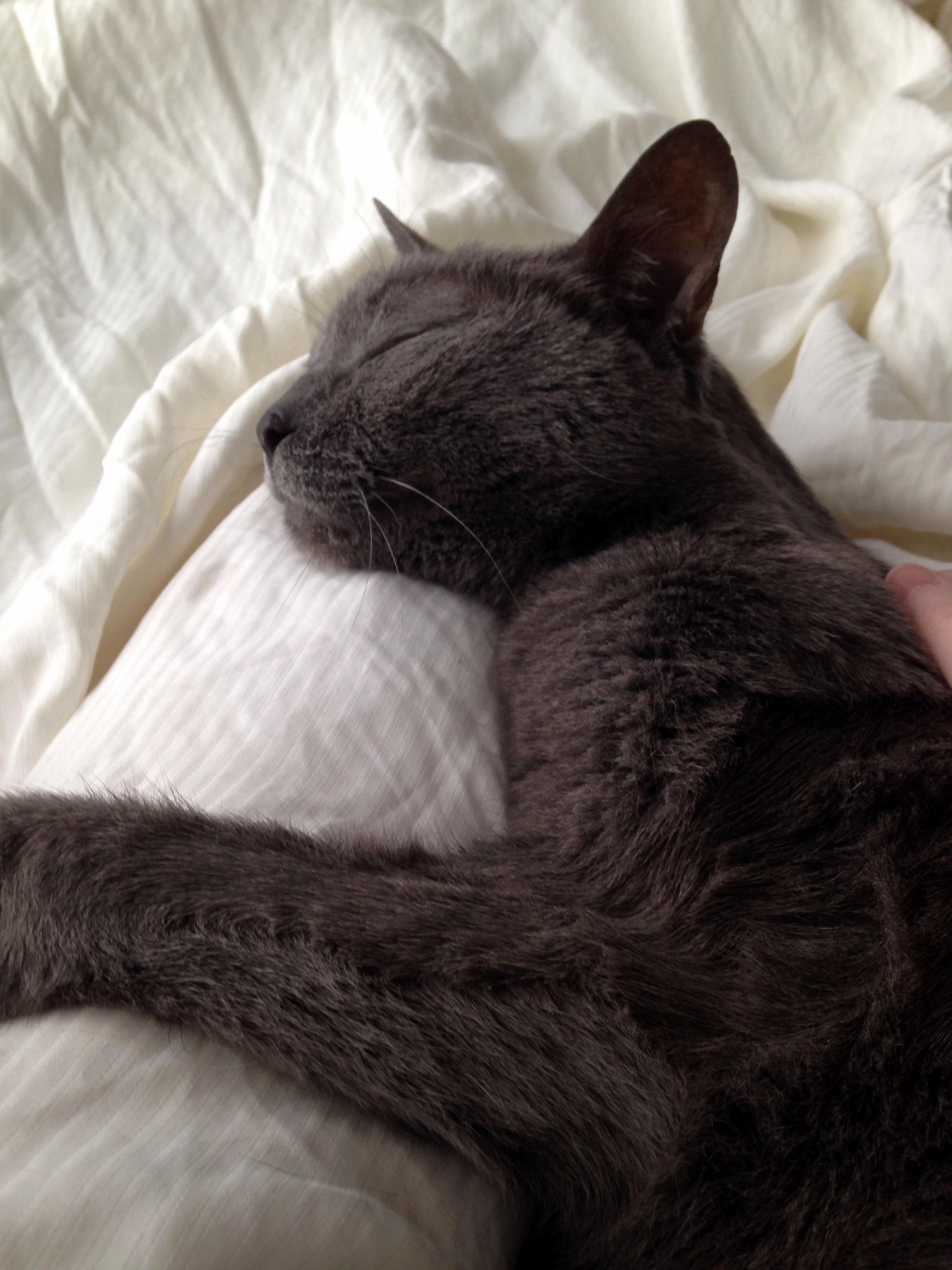 Simon (17) Might Not Always Know Where He Is but He Always Knows How to Be Comfortable
