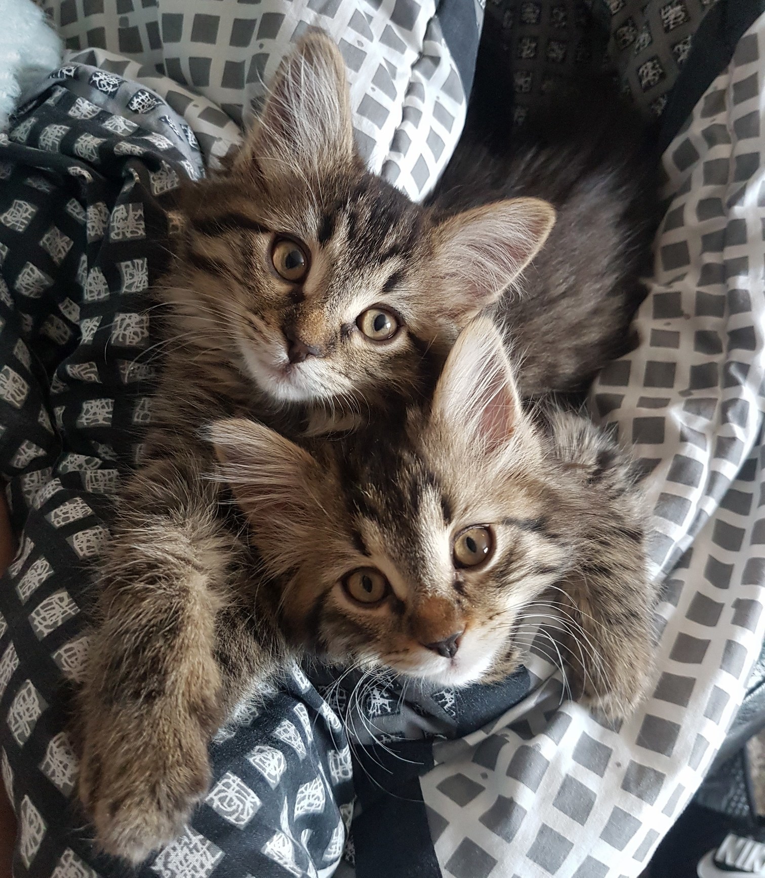 Sisters.
