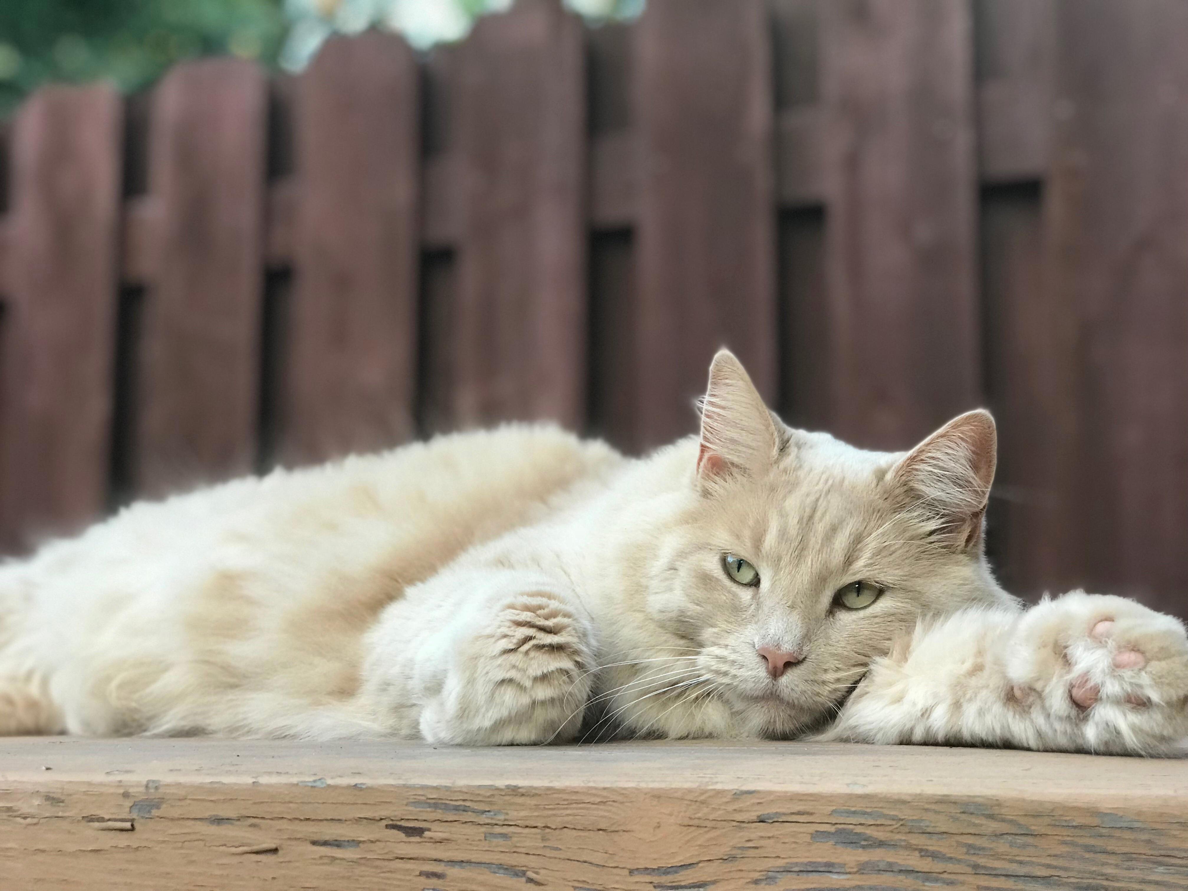 Sleepy Boy!