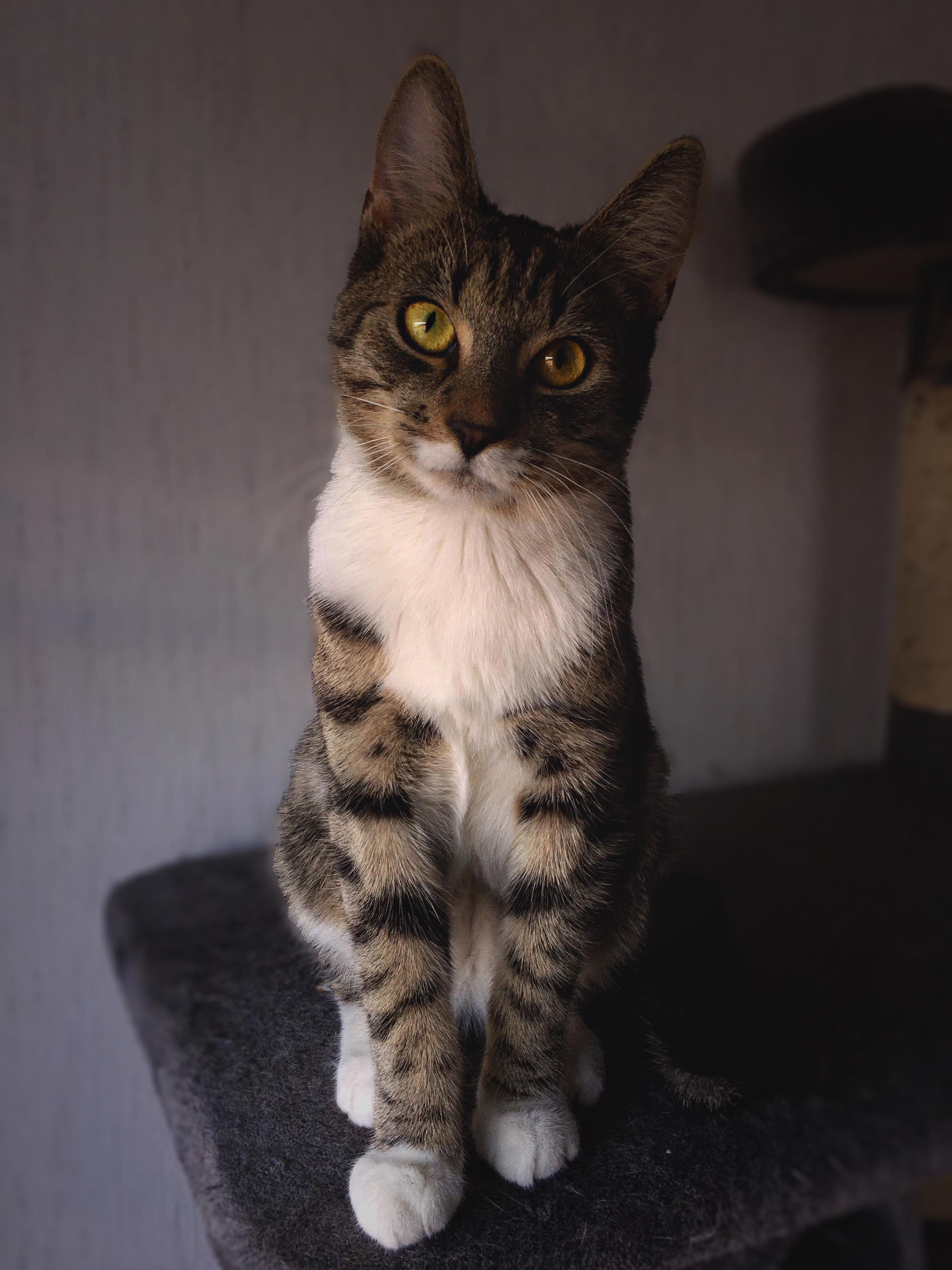 So Heres My 9 Months Old Gentleman Maiq