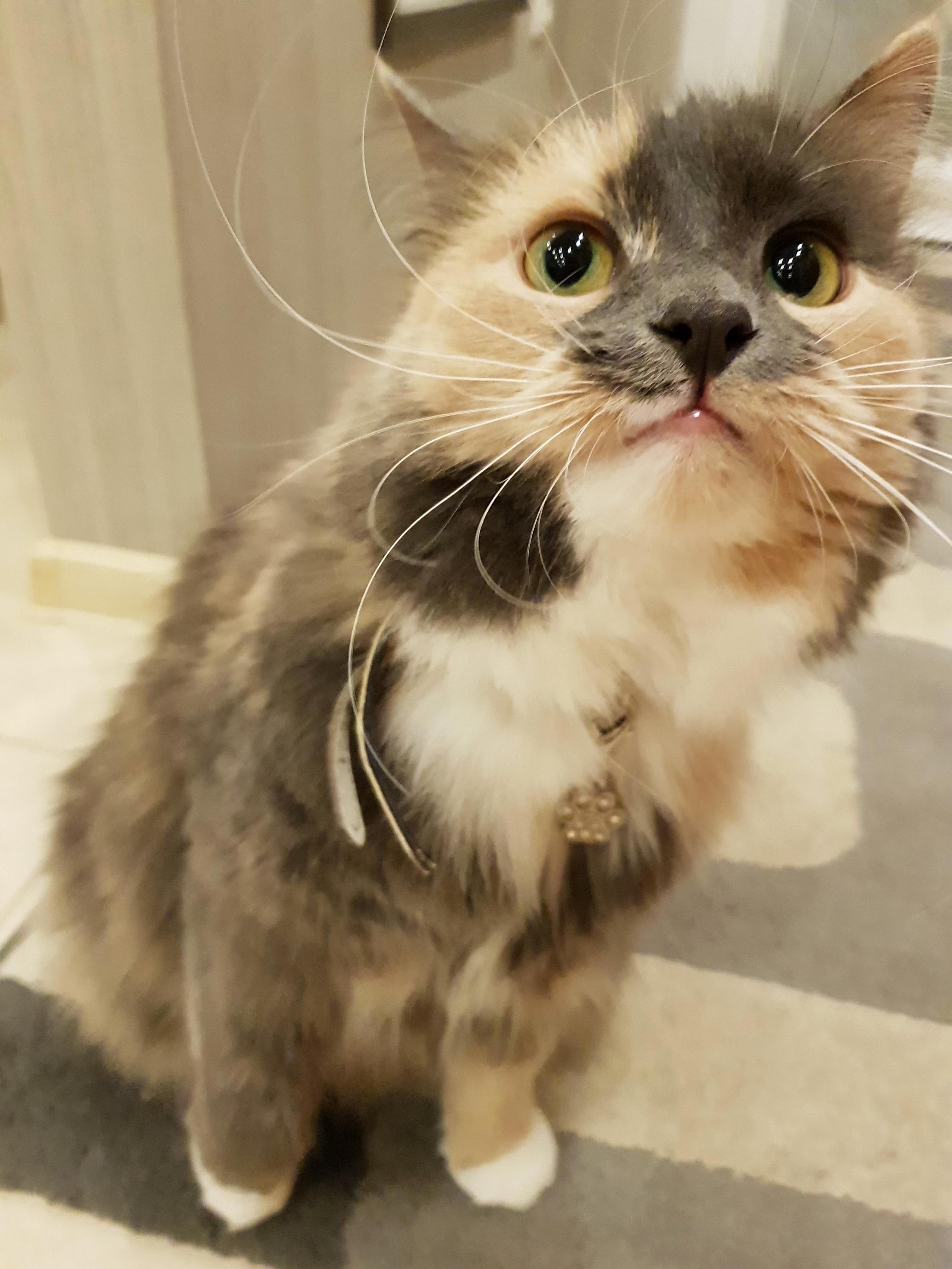 So Many Lights in Her Eyes