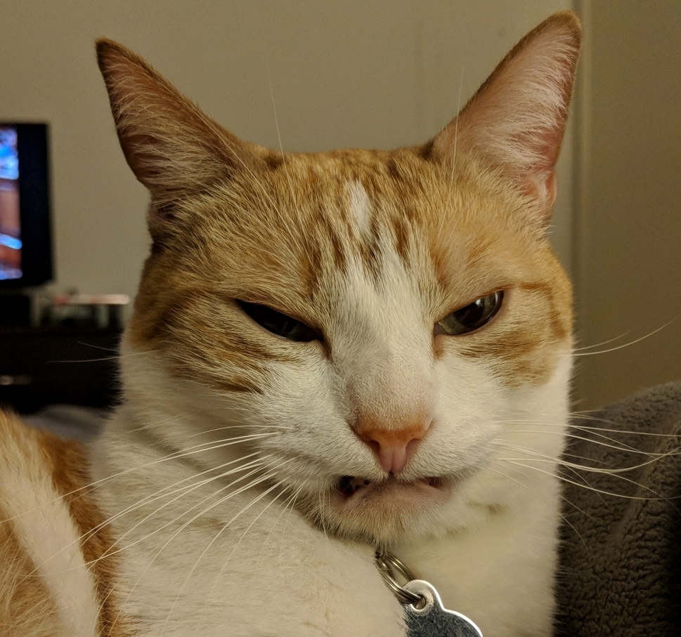 Sometimes His Lips Get Caught on His Teeth