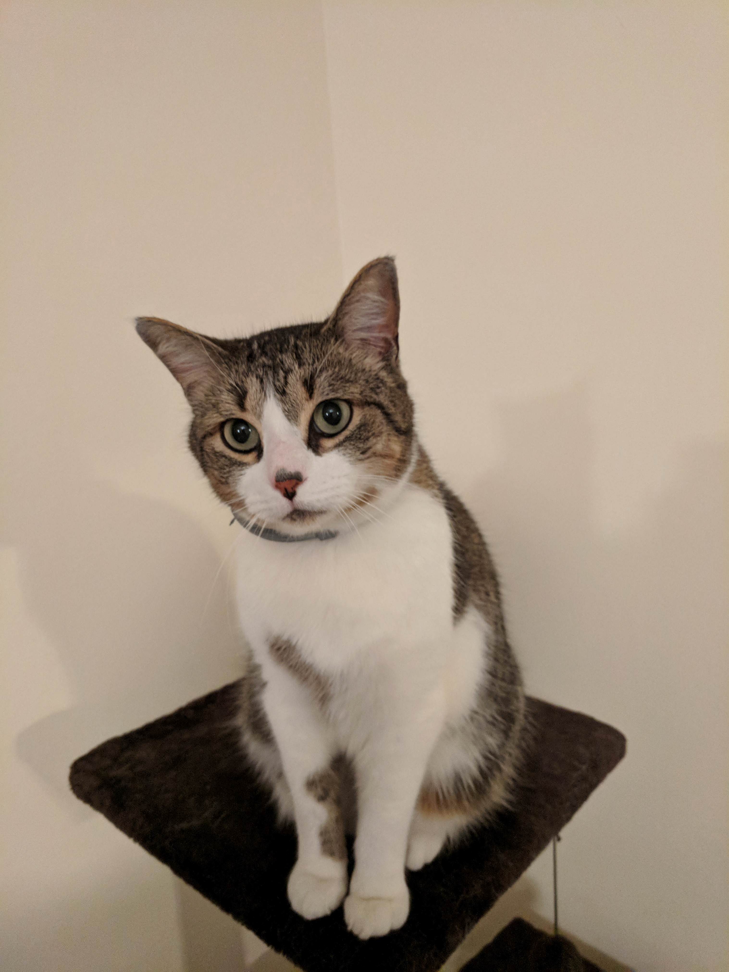 Such a Handsome Boy!