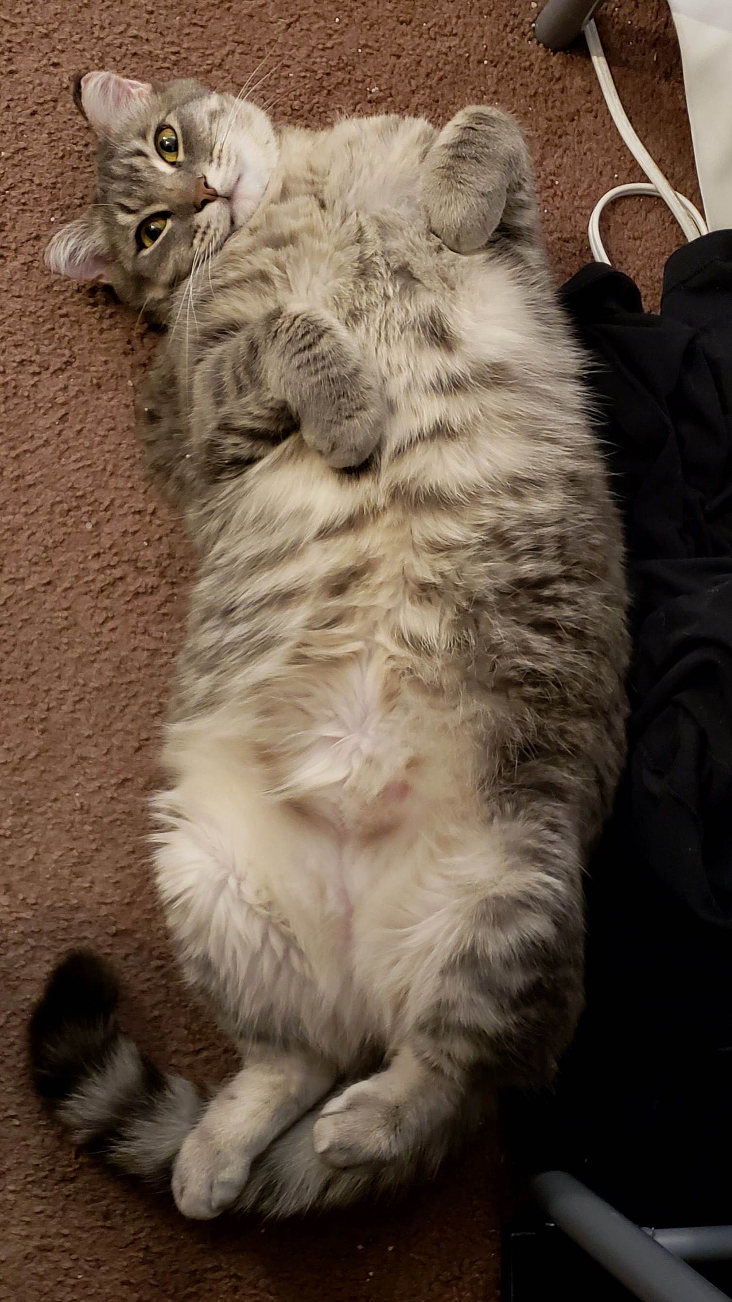 Such a Happy Girl