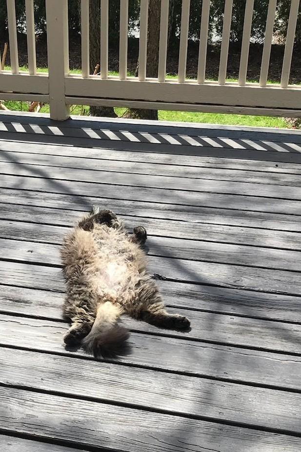 Sunshine!