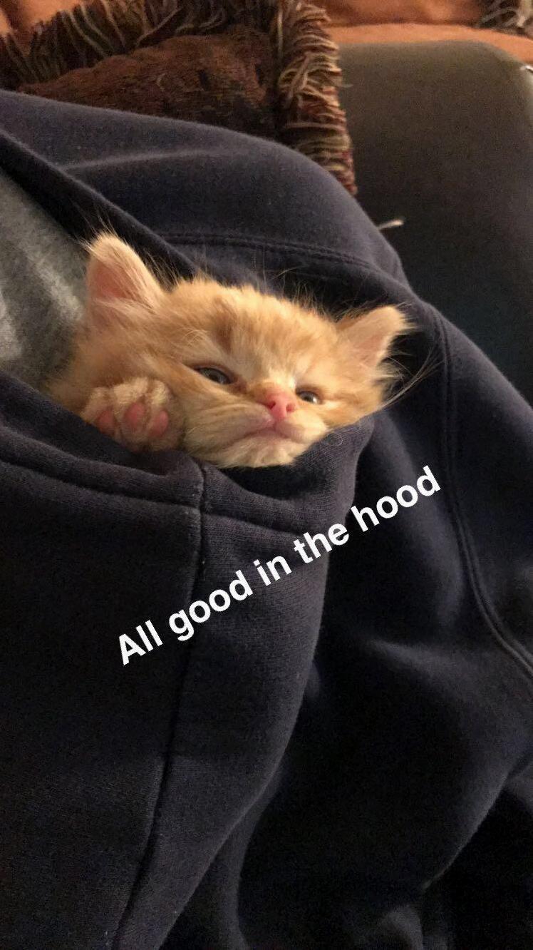 Sup