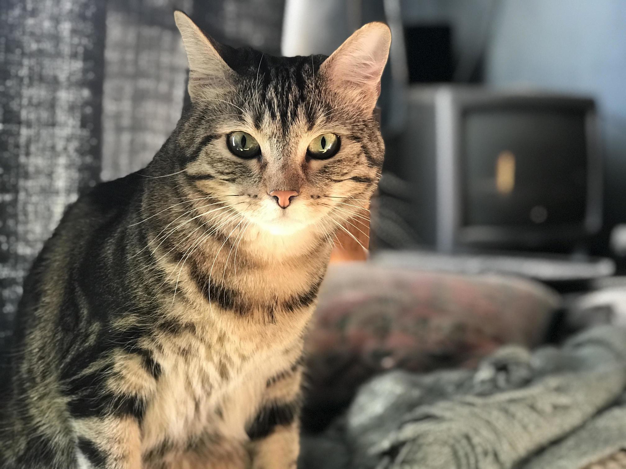Teddys Back, Yall. Handsome As Ever.