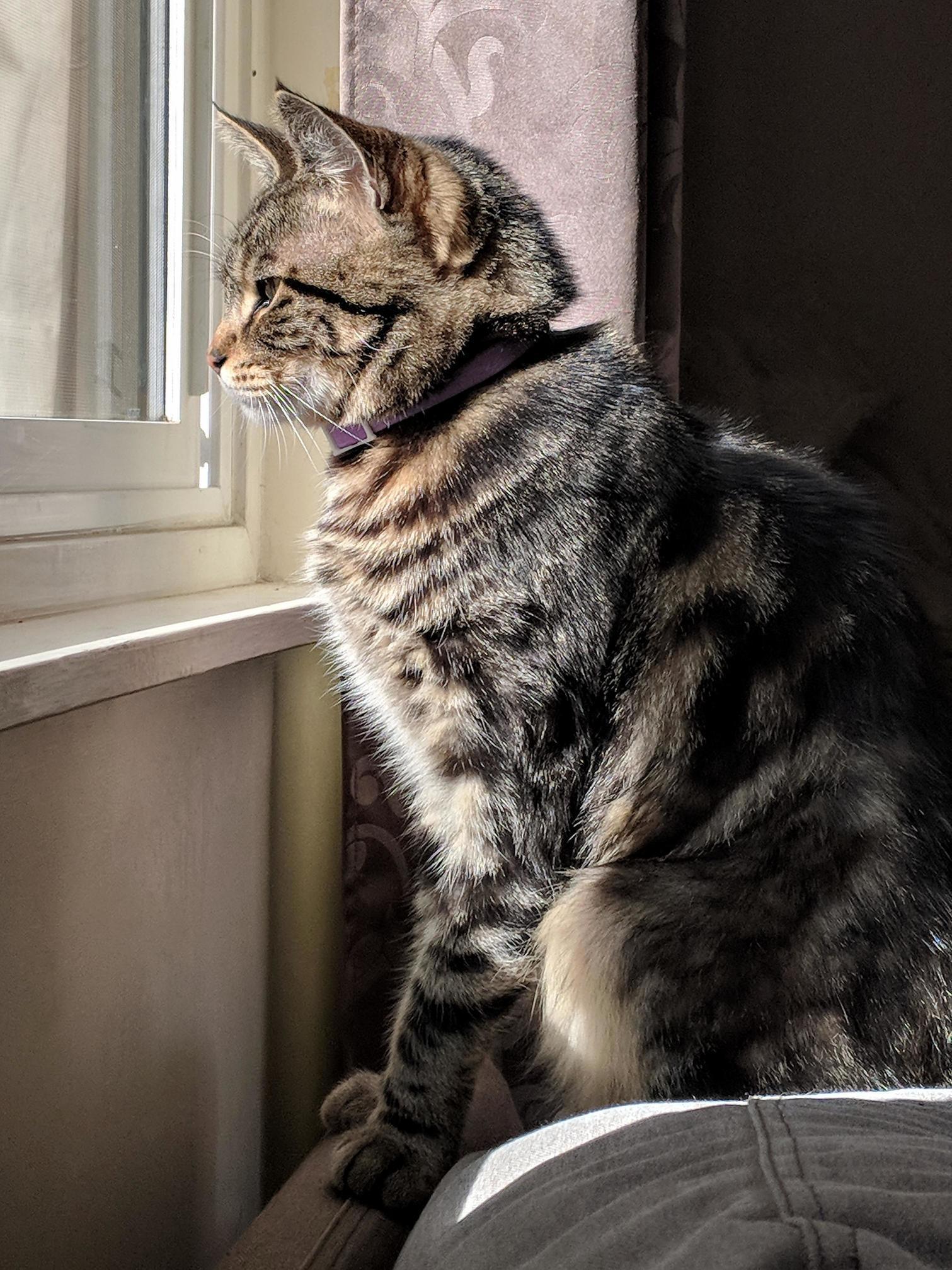 The Allure of a Sunbeam; Baxter Is Almost 2