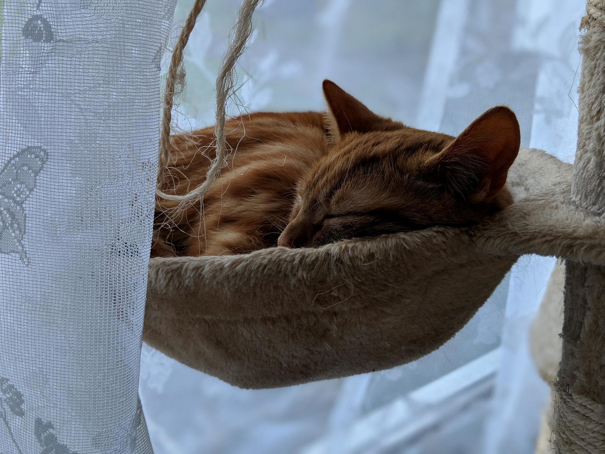 The Best Seat in the House
