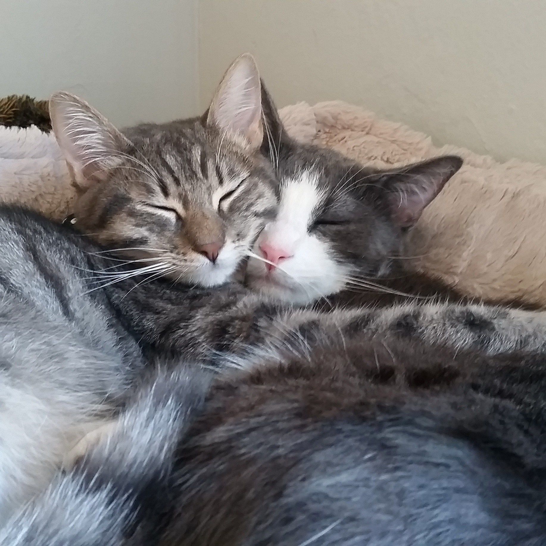 The Bond Between Our Two Youngest Just Advanced to Ridiculous.