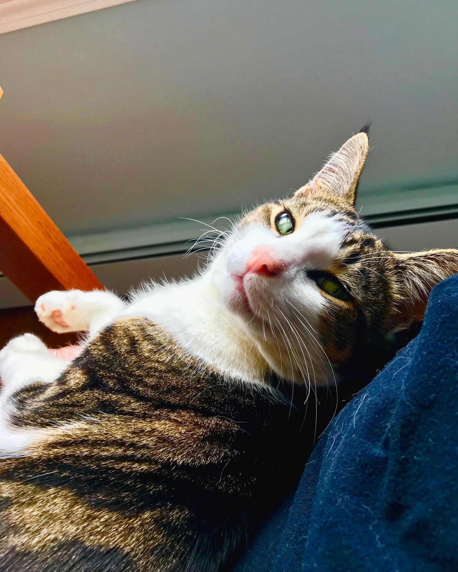 The Look of Pure Love Mixed with a Little Bit of Evil