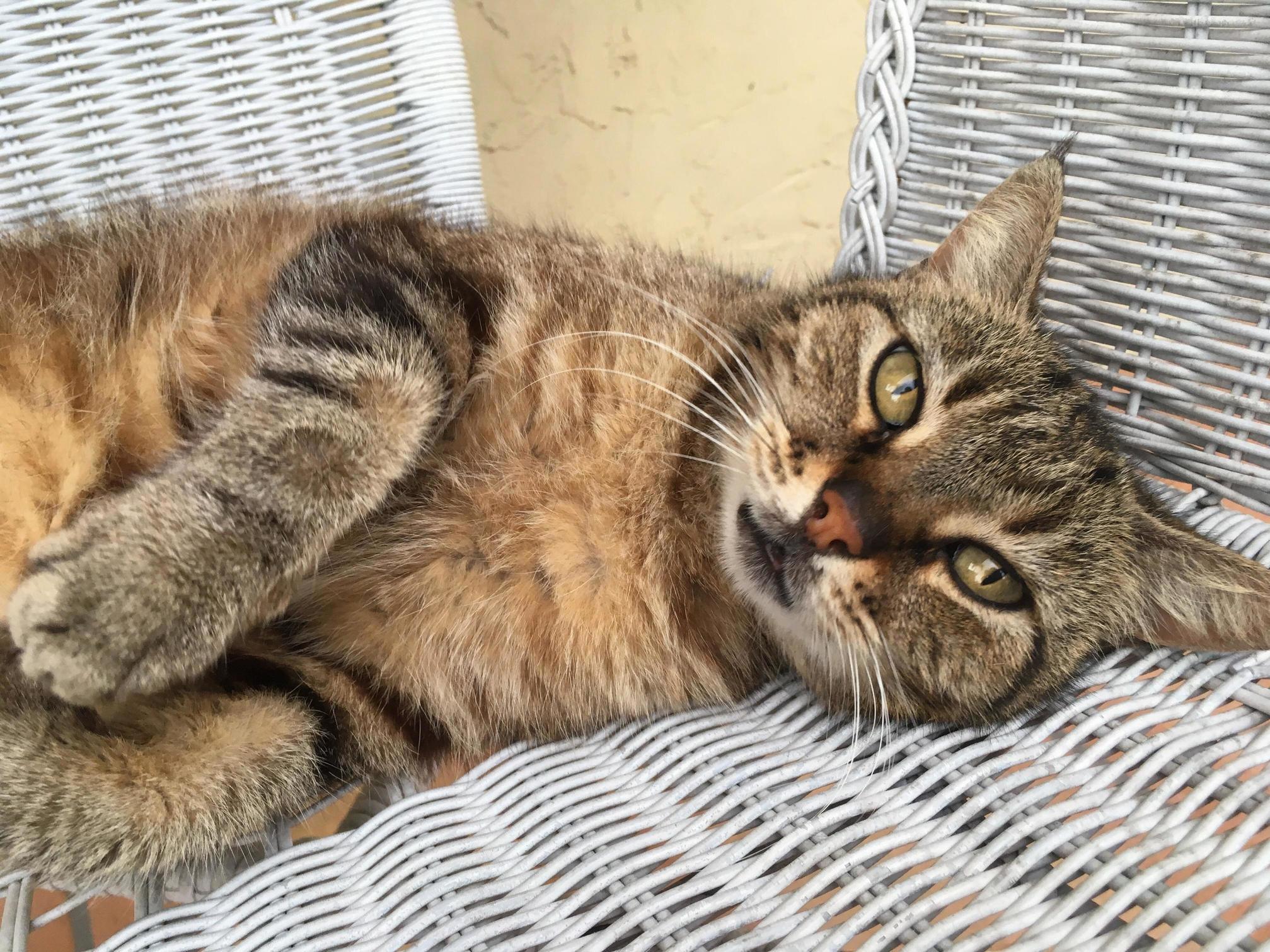 The Pretty Baby at My Airbnb