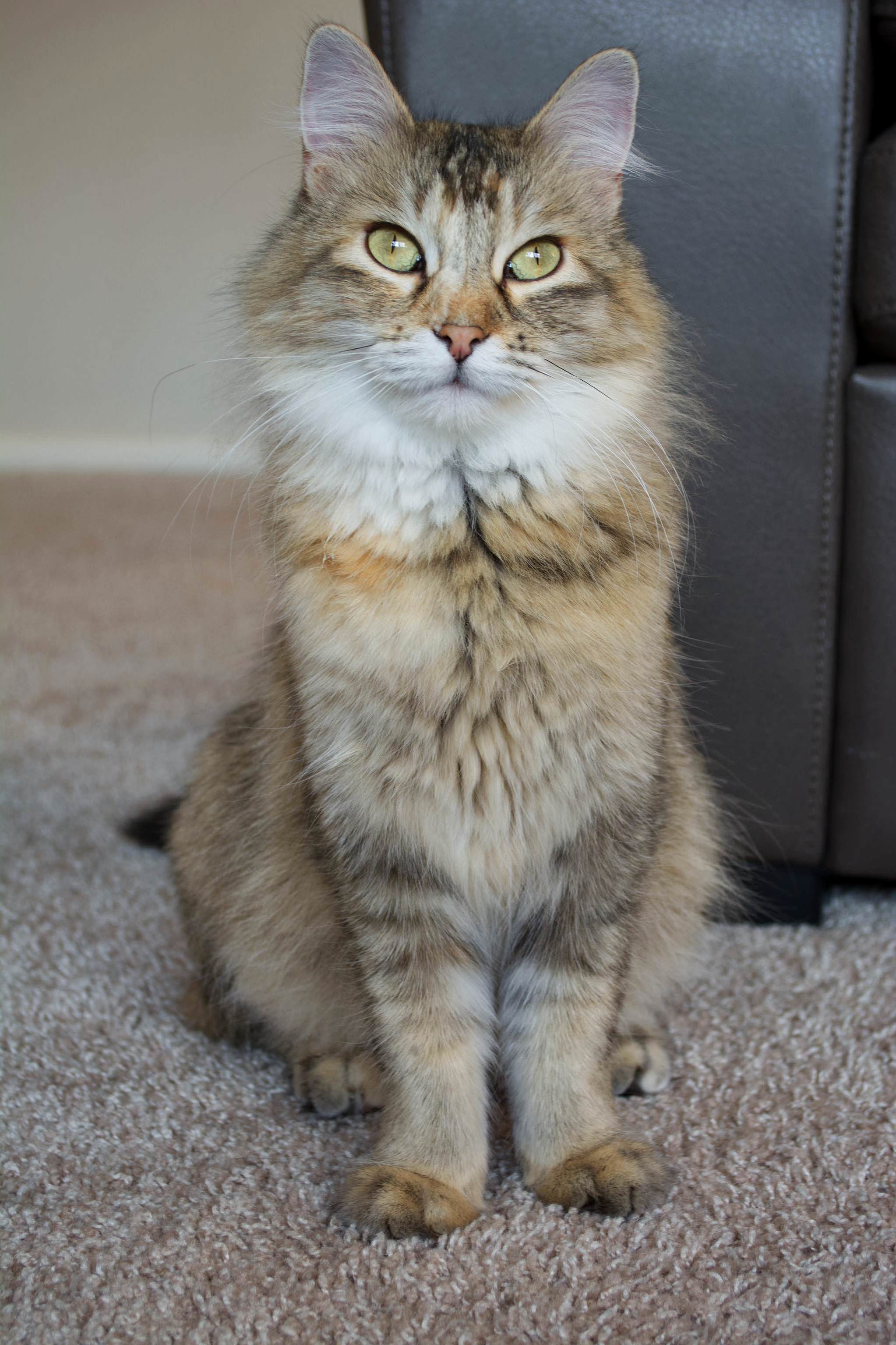 Thea, the Worlds Prettiest Girl