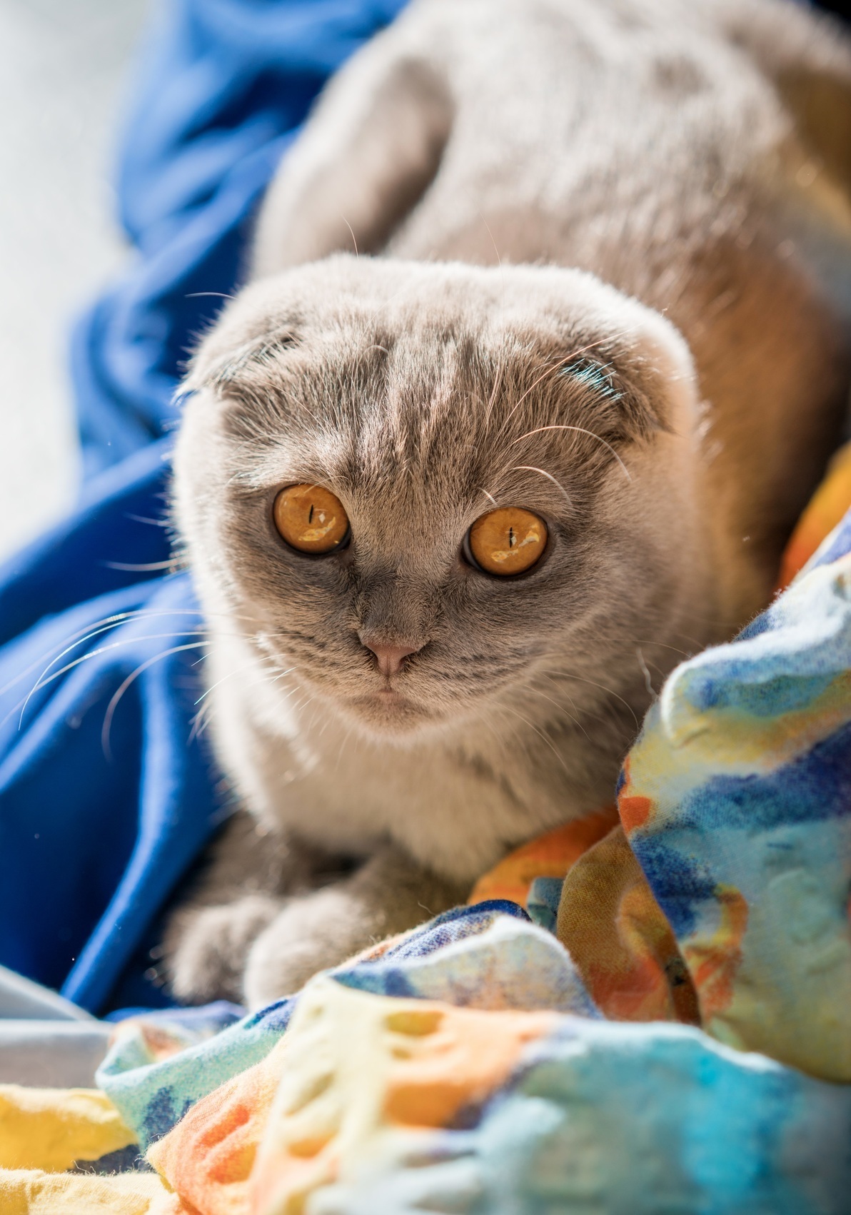 These Eyes Tho!