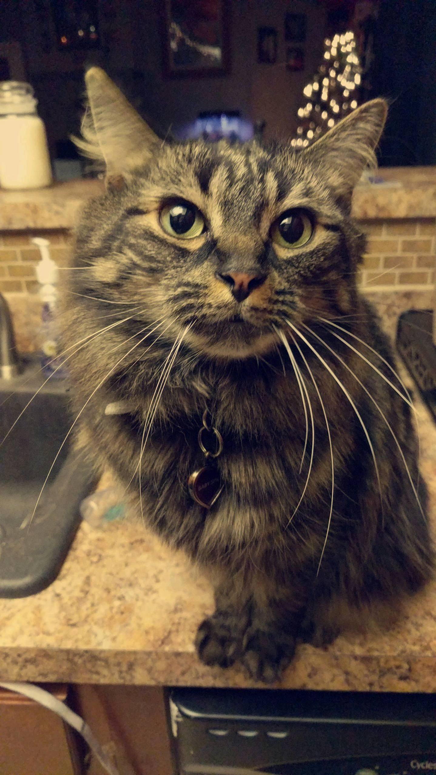 This Girl Is a Trouble Maker but Dammit If She Is Beautiful