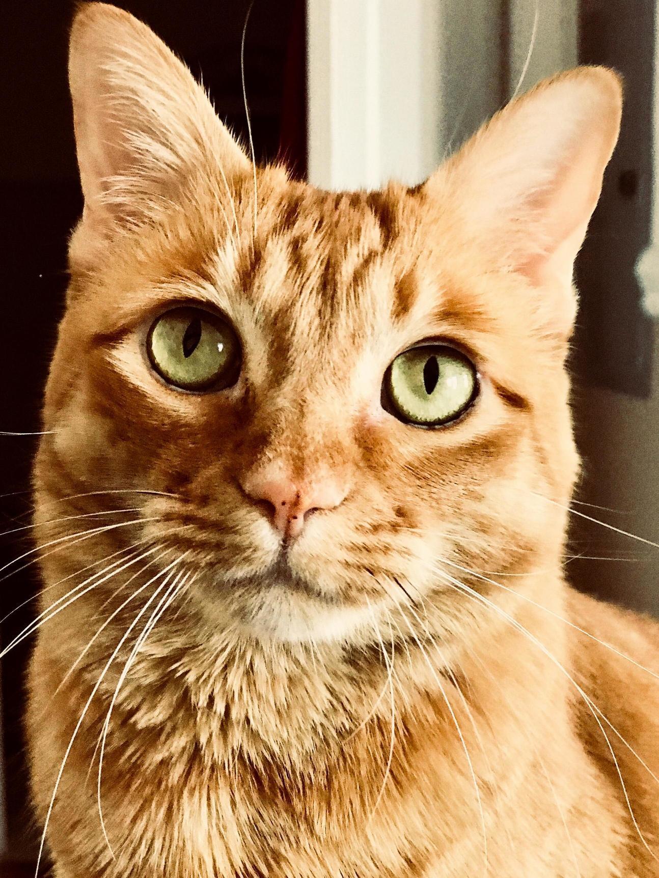 This Is My Girl Kiki, and No, Shes Not Wearing Eyeliner. Shes That Gorgeous.