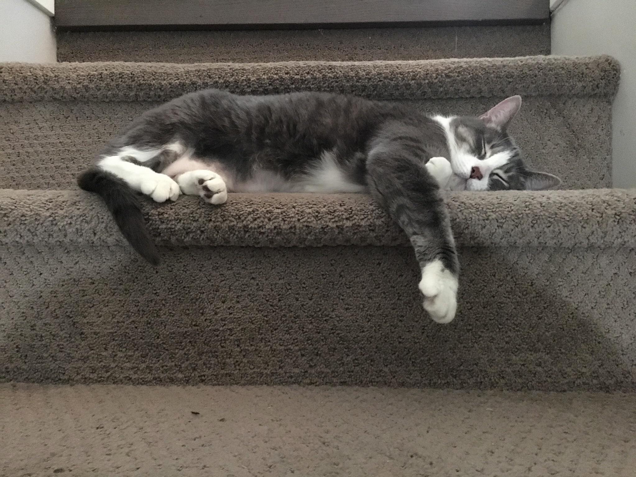 This Looks Surprisingly Comfy