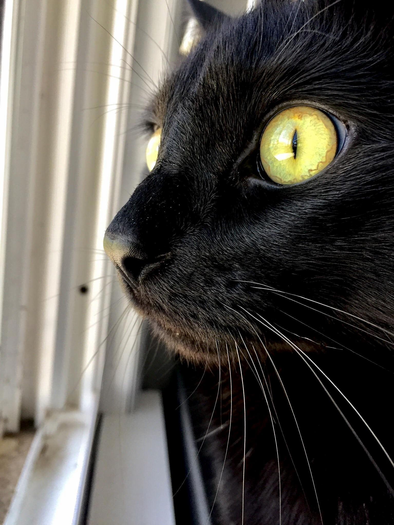 Those Eyes