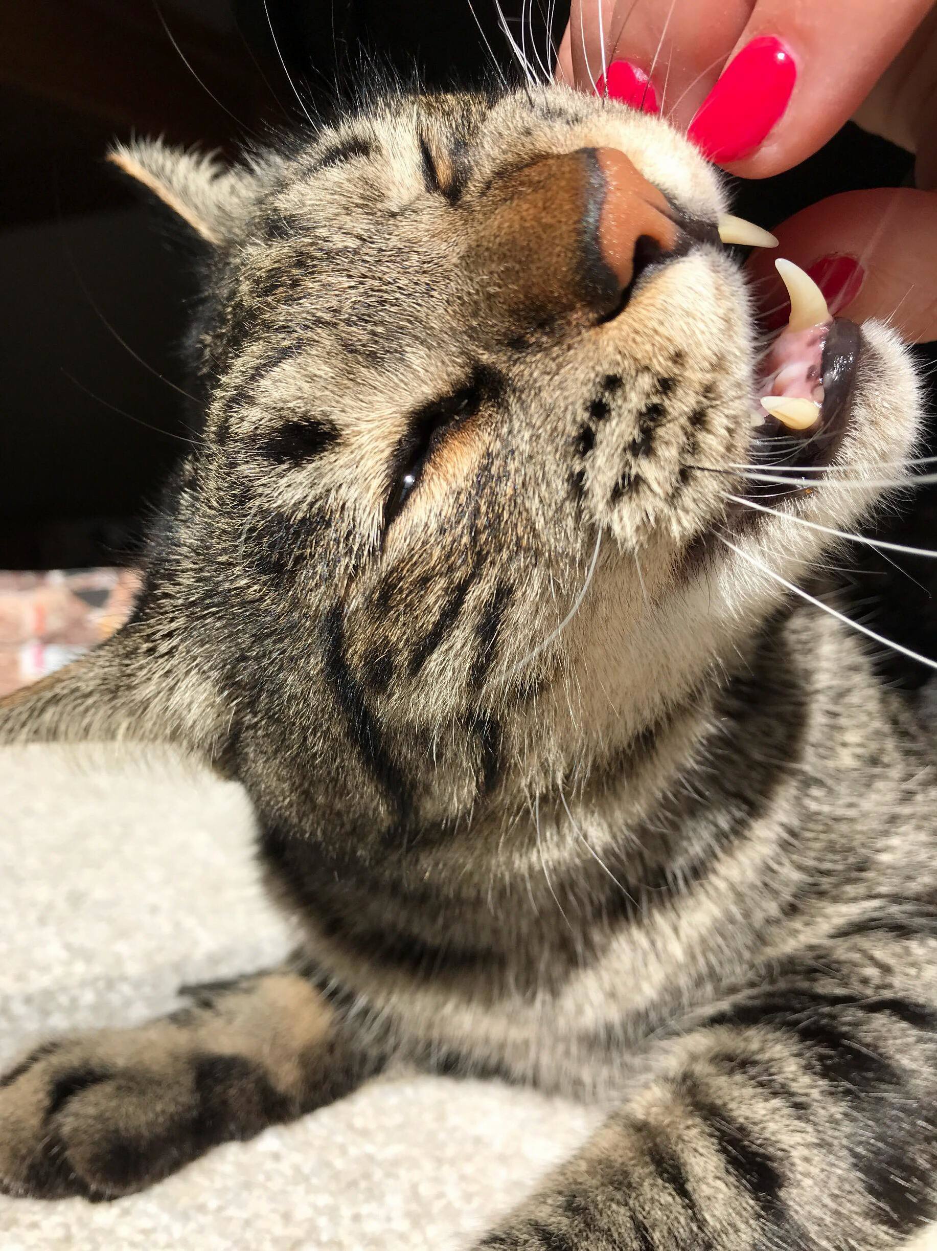 Thought You Guys Would Want More Phillip.