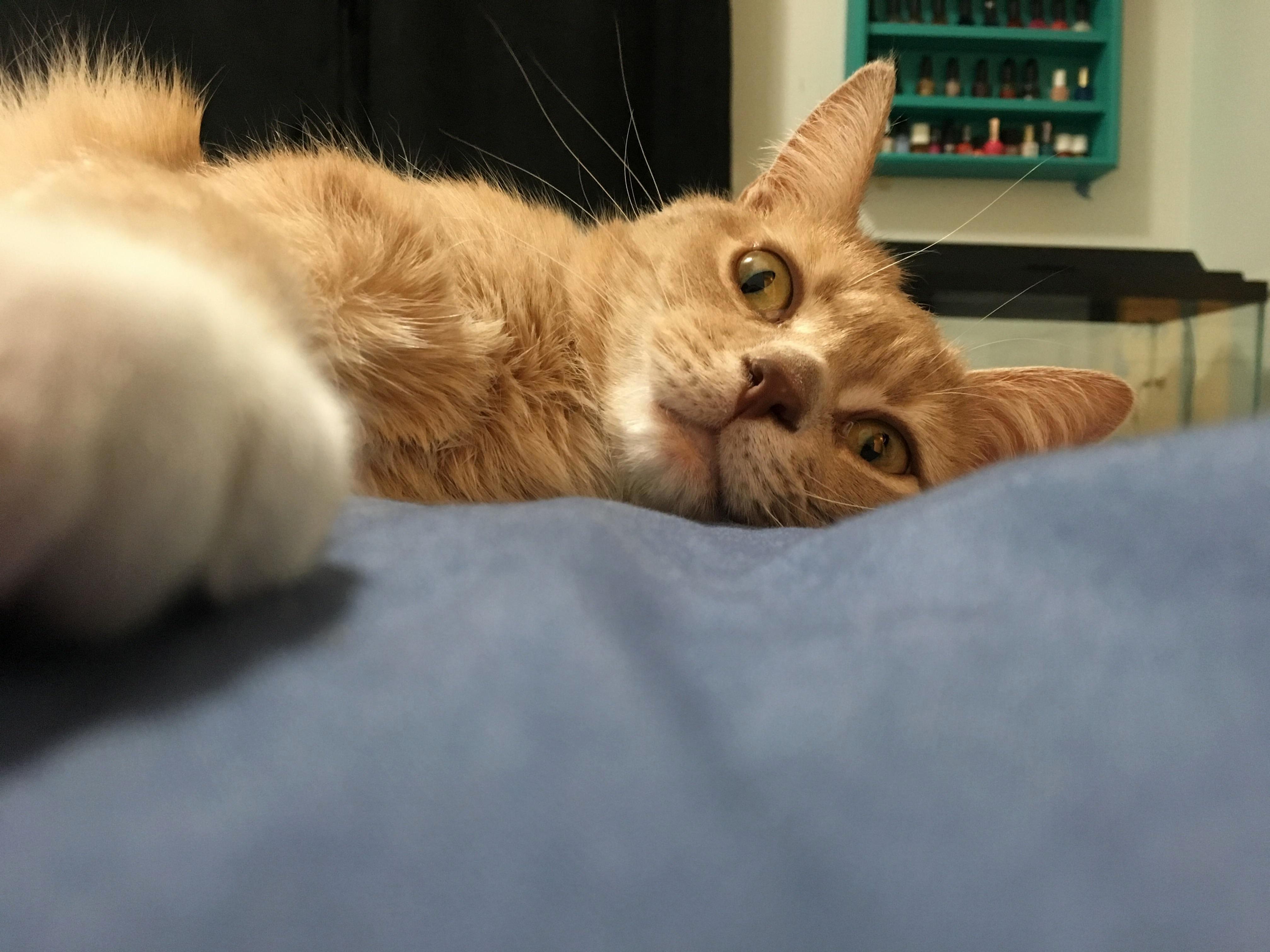 Time to Relax.