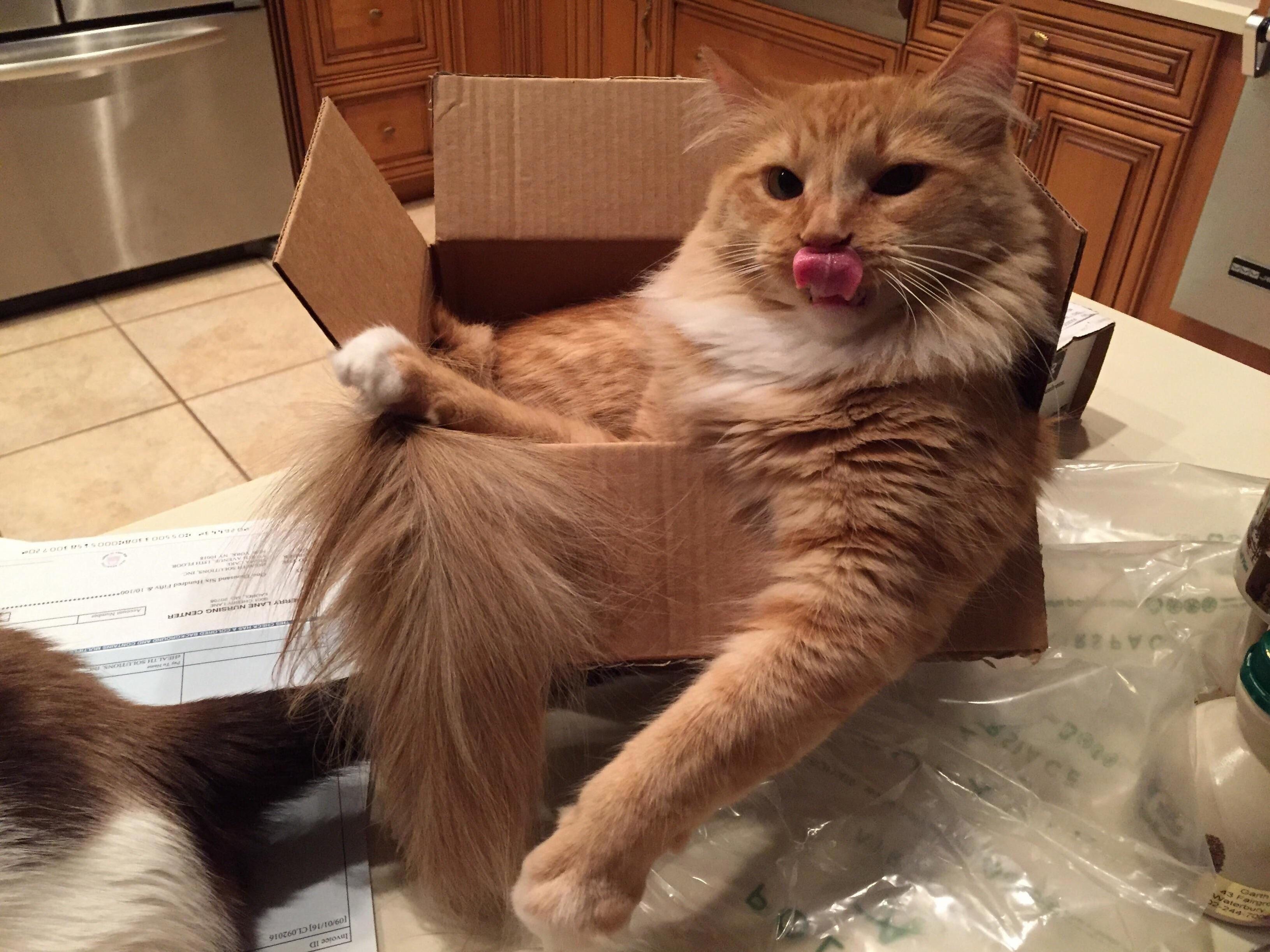 Today I Walked Into My Kitchen and Saw This