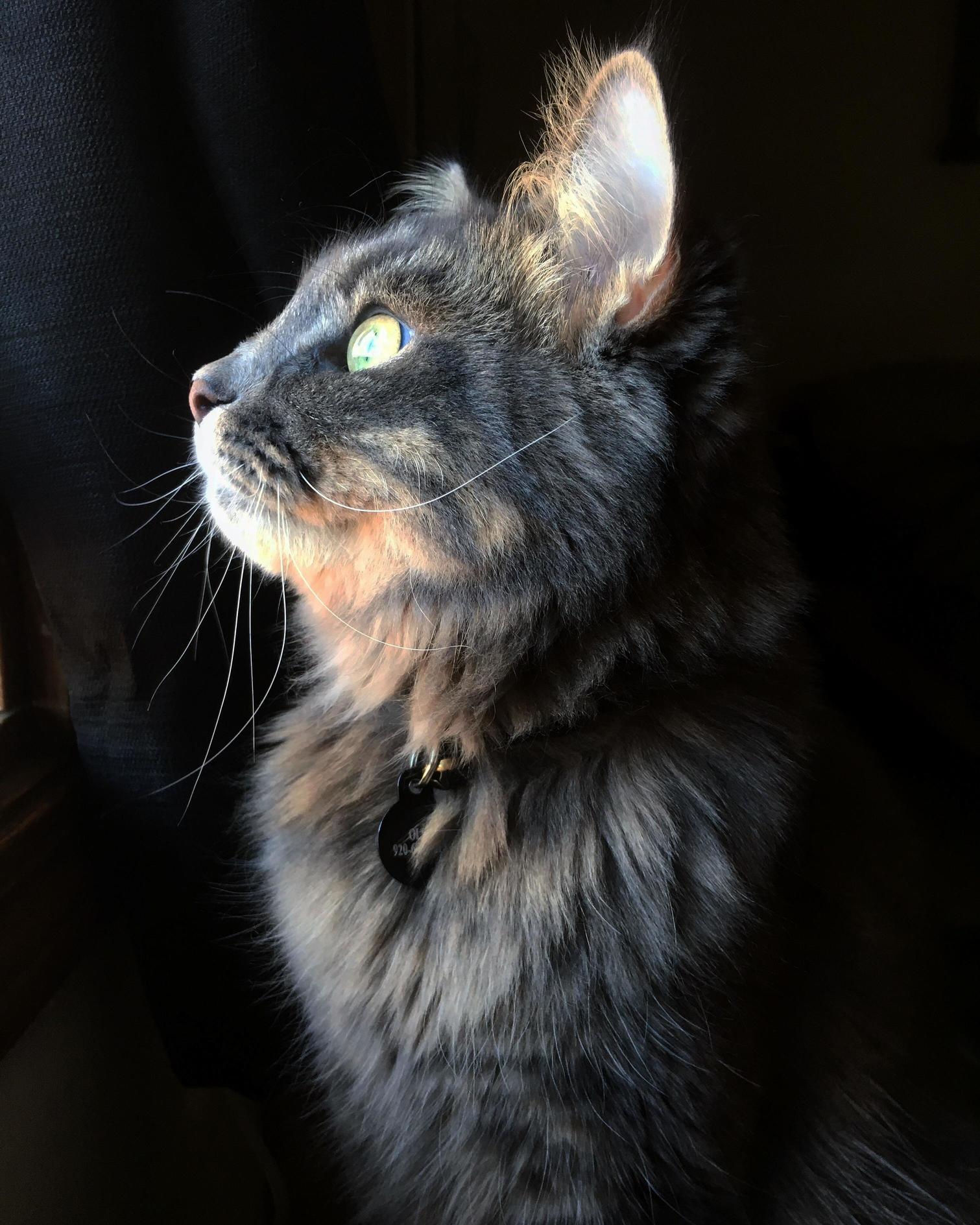 Today Is Handsome Ollis Birthday!