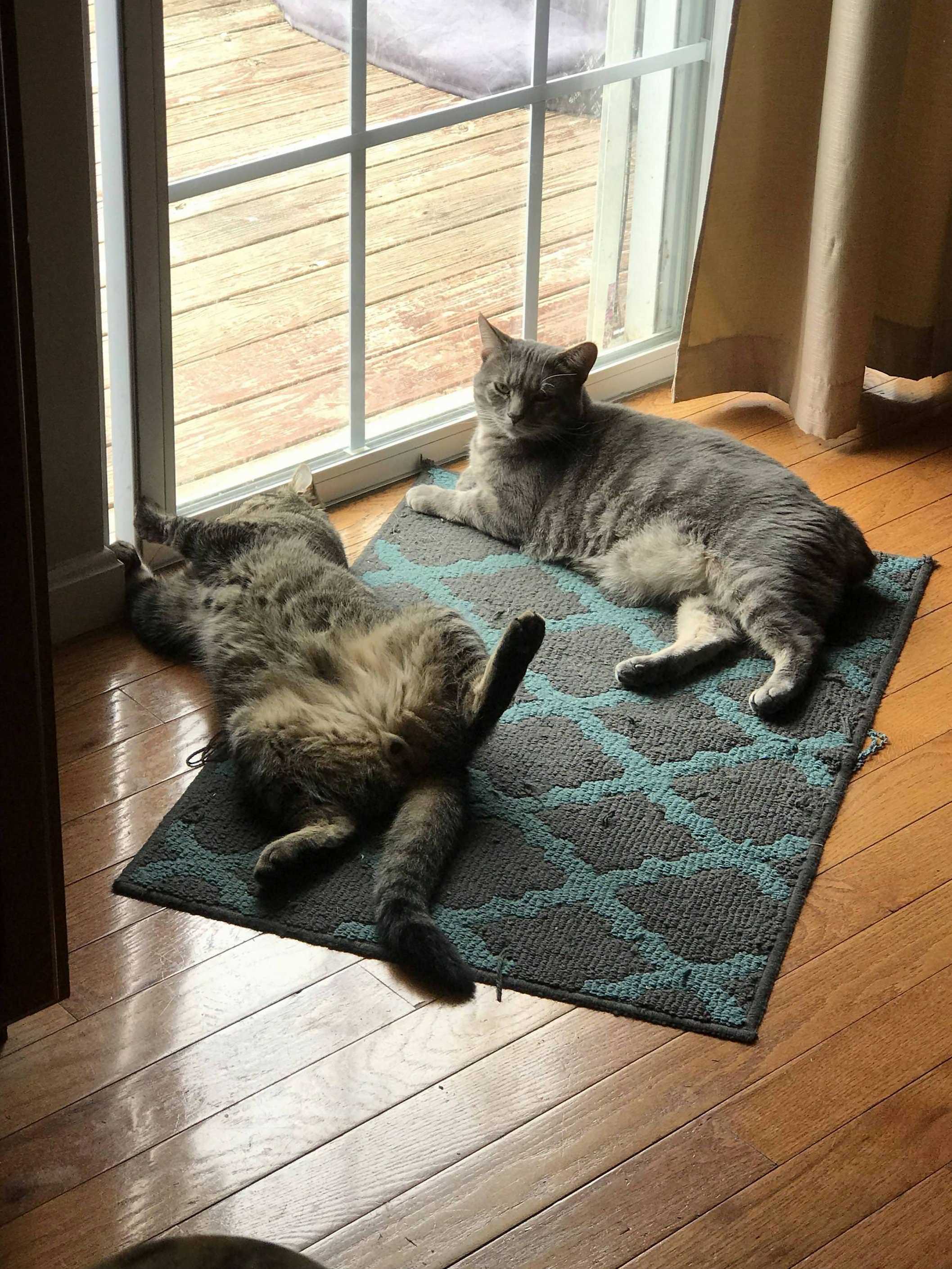 Trying to Open the Door While Being Lazy at the Same Time.