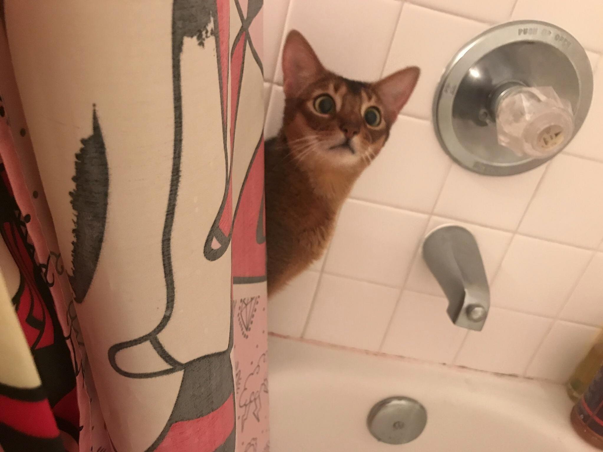 Turned Around After a Shower... Theres Bean