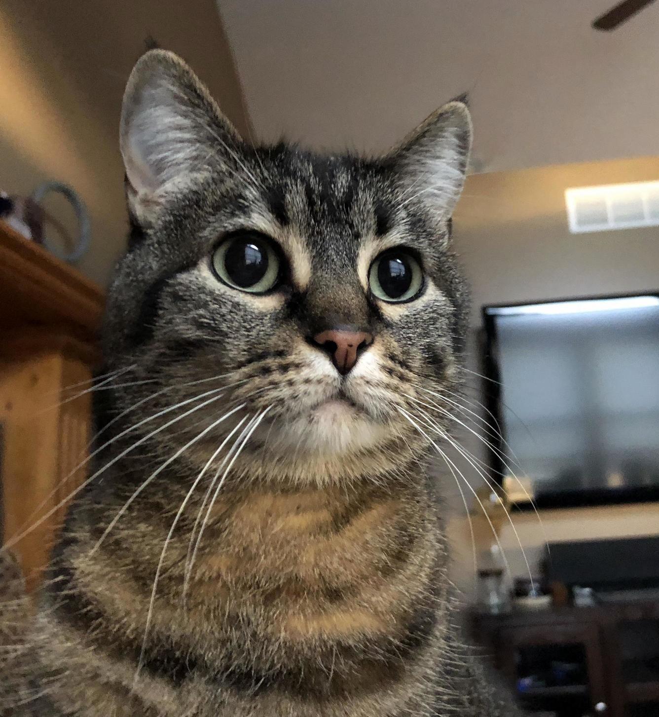 Watching the Trash Truck Go by