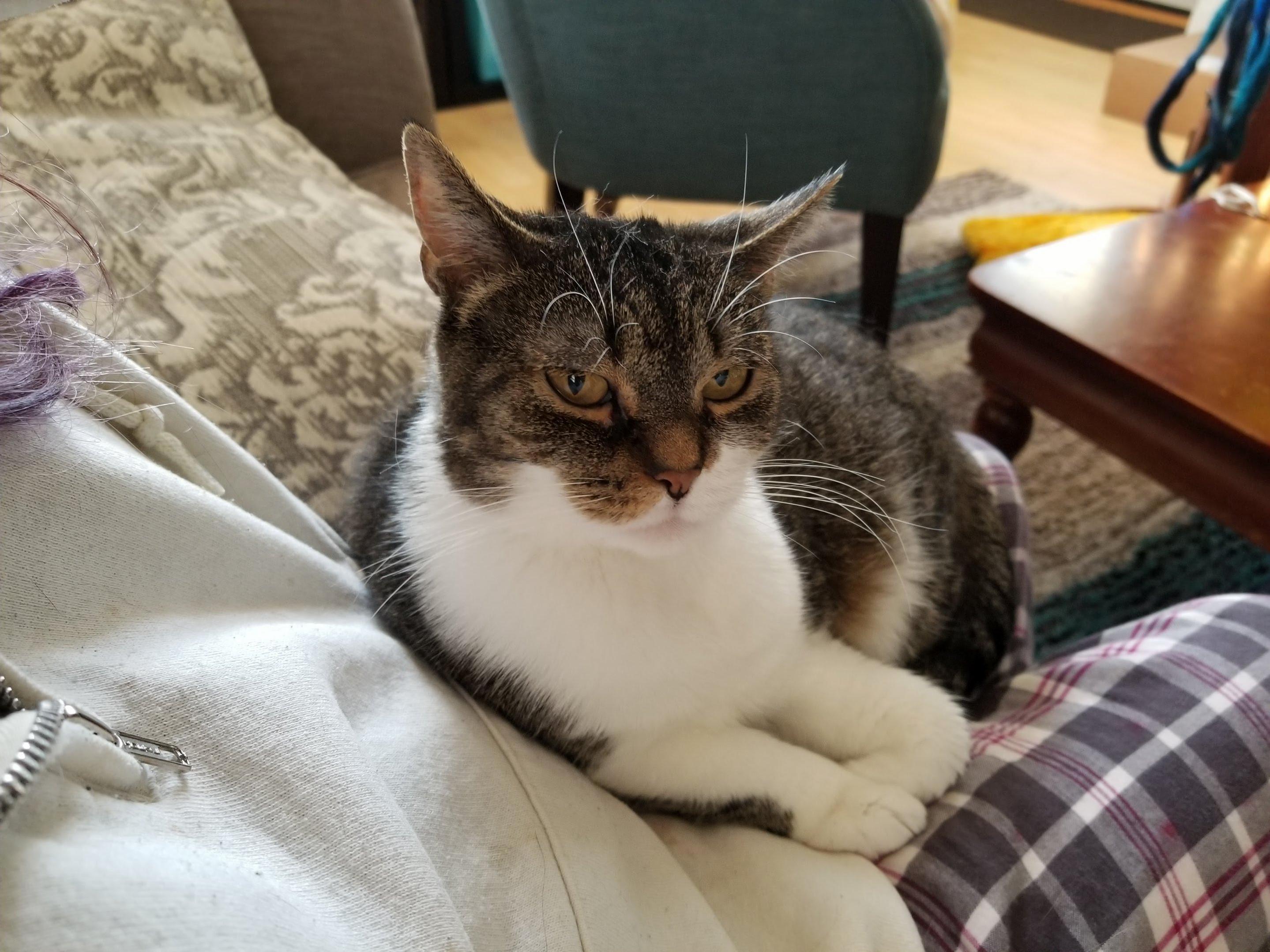We Need to Have a Chat...