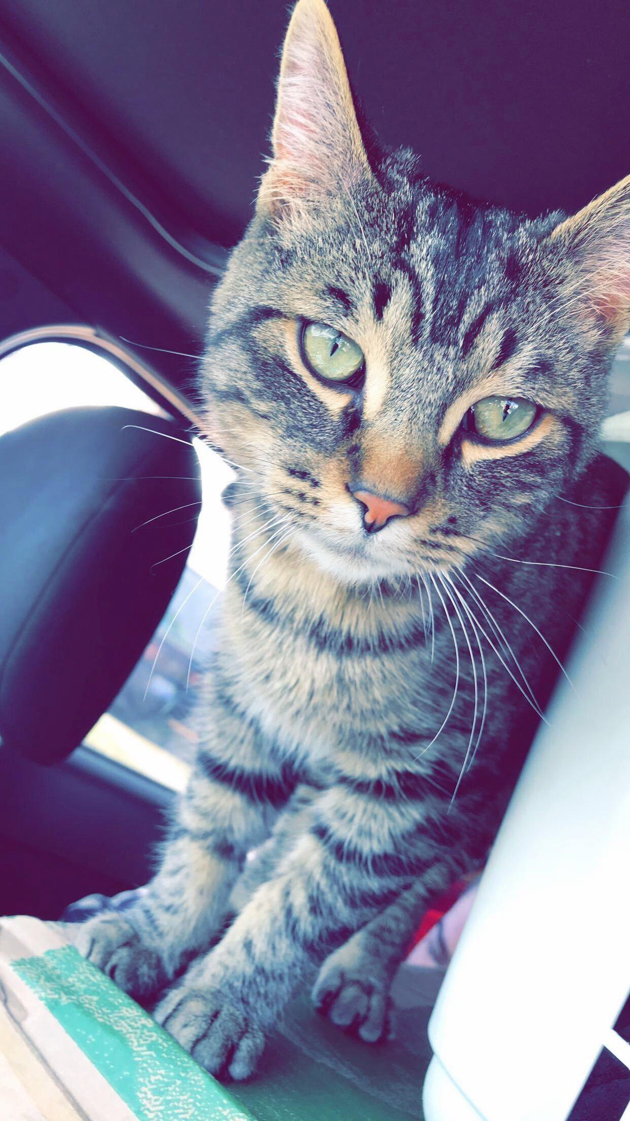 What a Handsome Baby !
