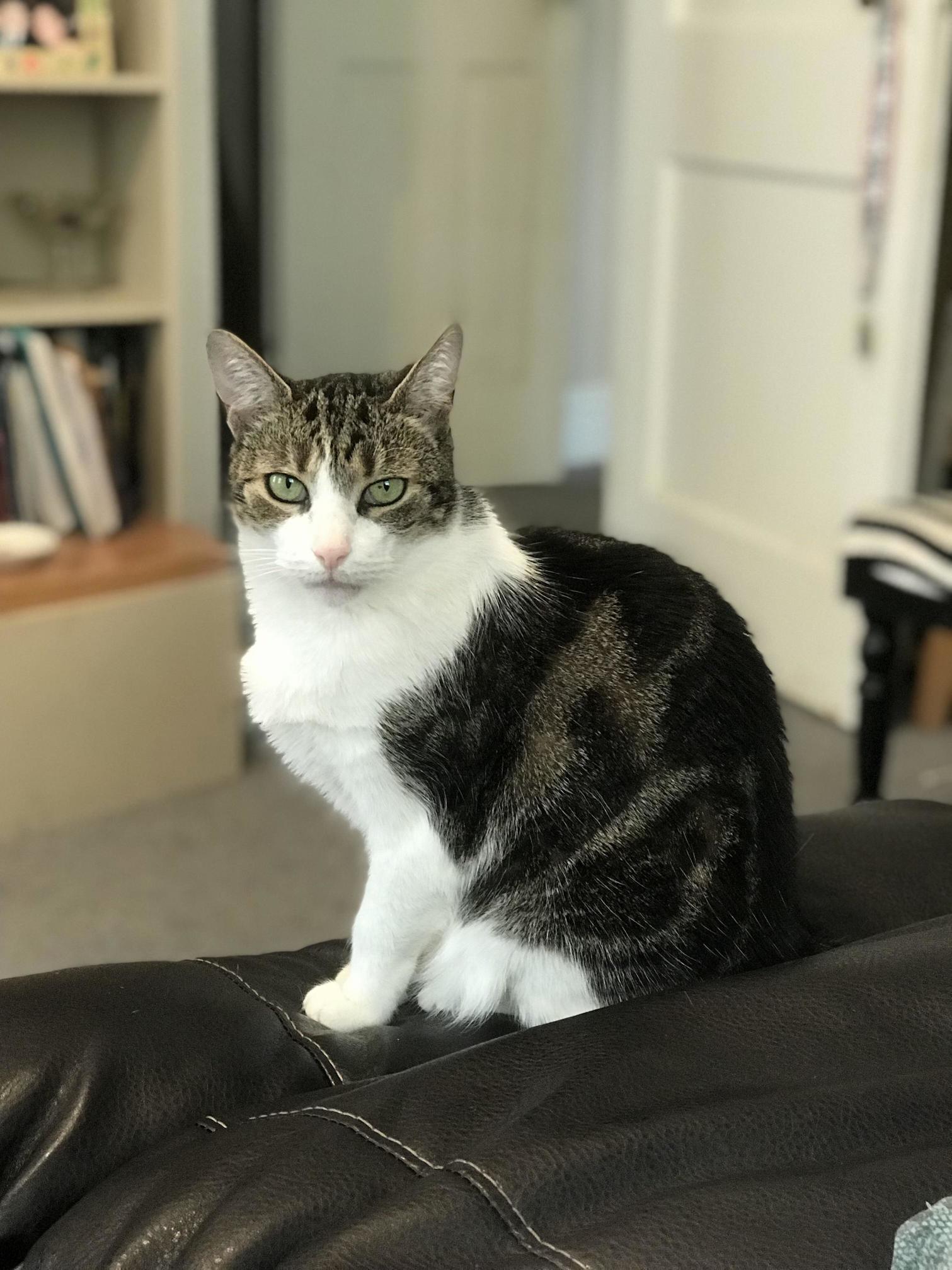 When Portrait Mode Is Life