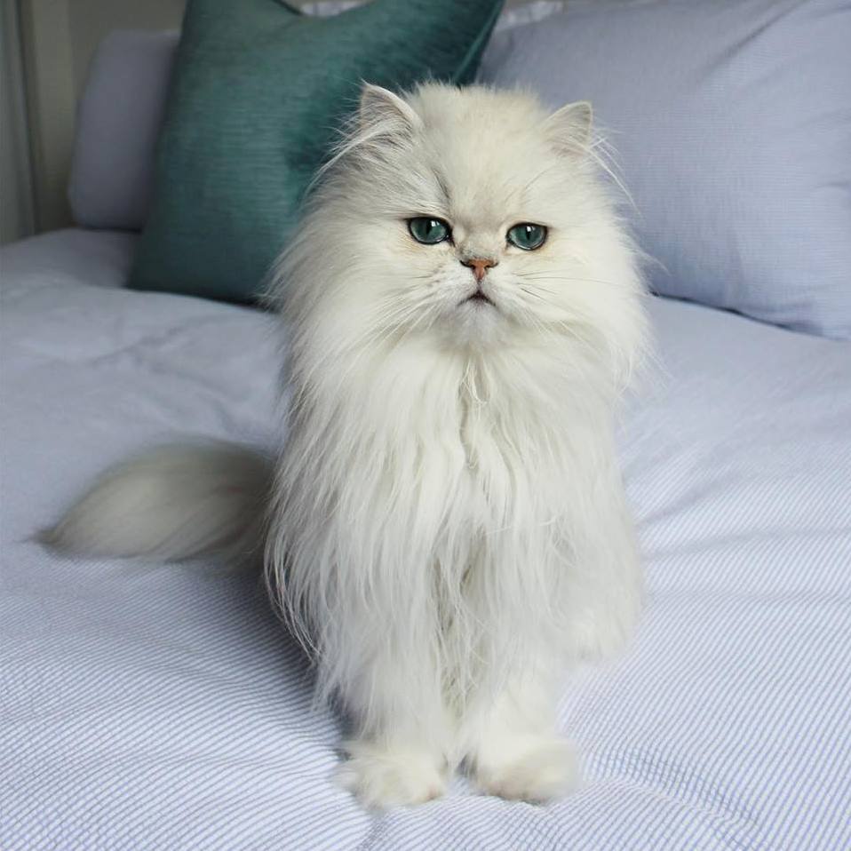 When Someone Reminds You That Its Monday Tomorrow.