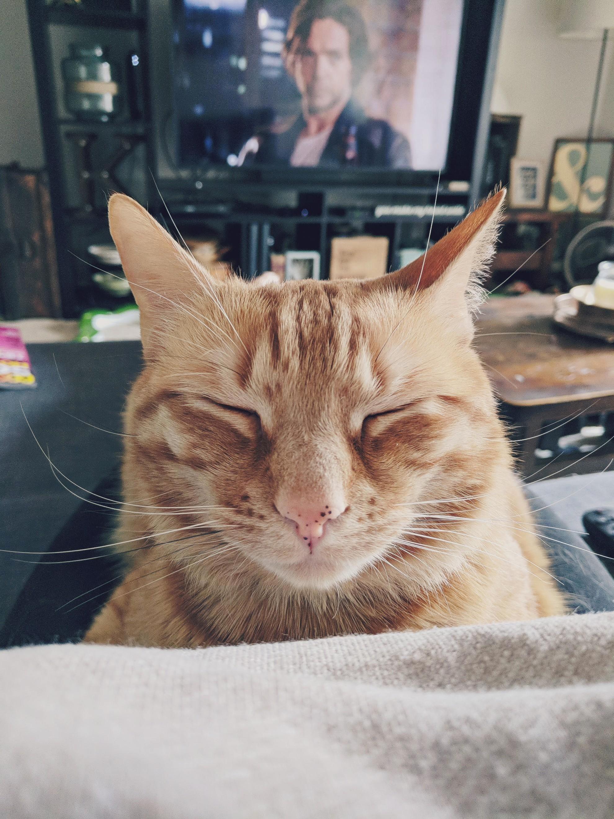 When You Cant Move Because His Nap-face Game Is Strong.