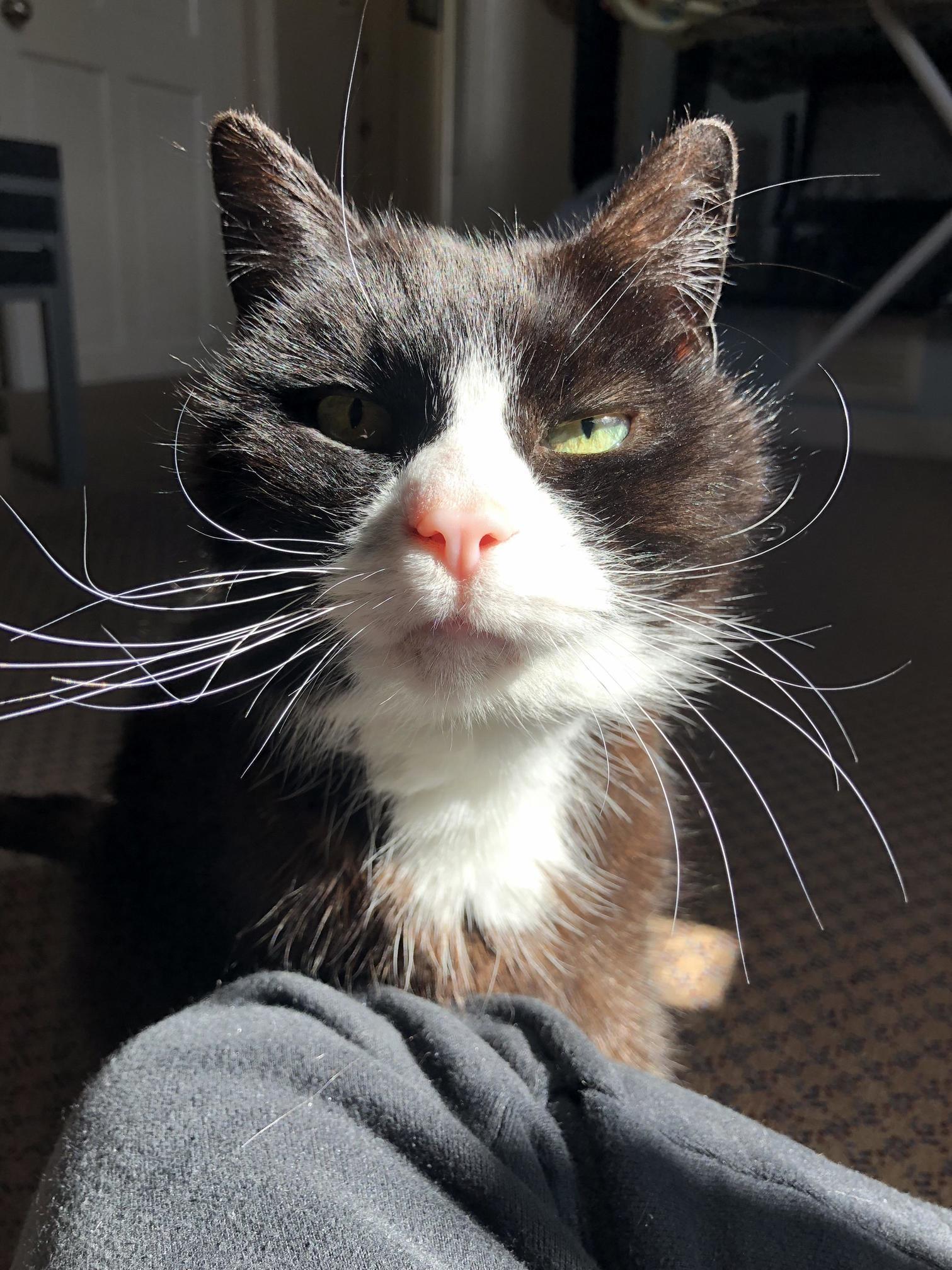 Would You Believe Me If I Said He Had Just Turned 18 This Year