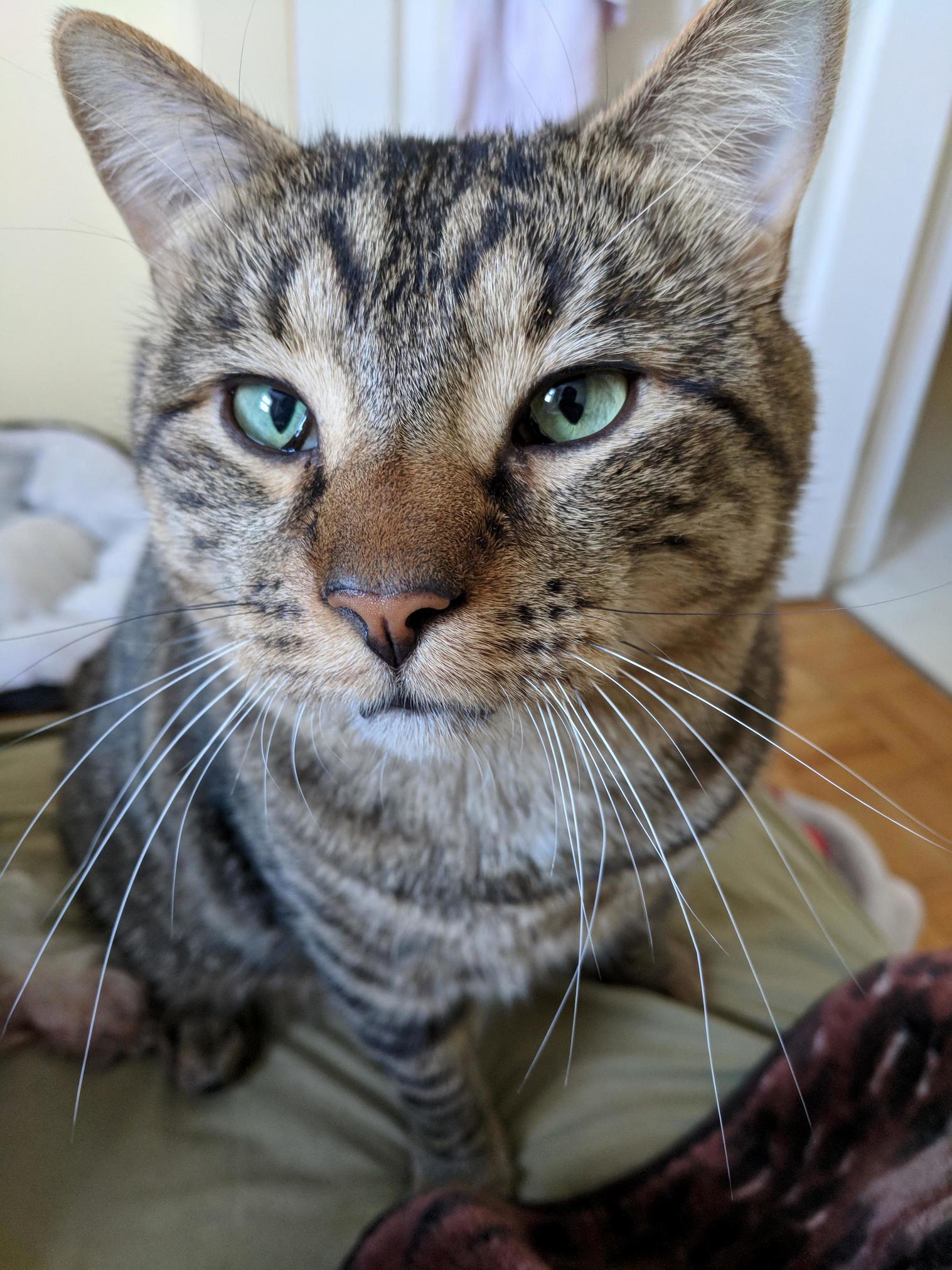 You All Loved Him a Couple Days Ago, Heres Another Picture of Twix