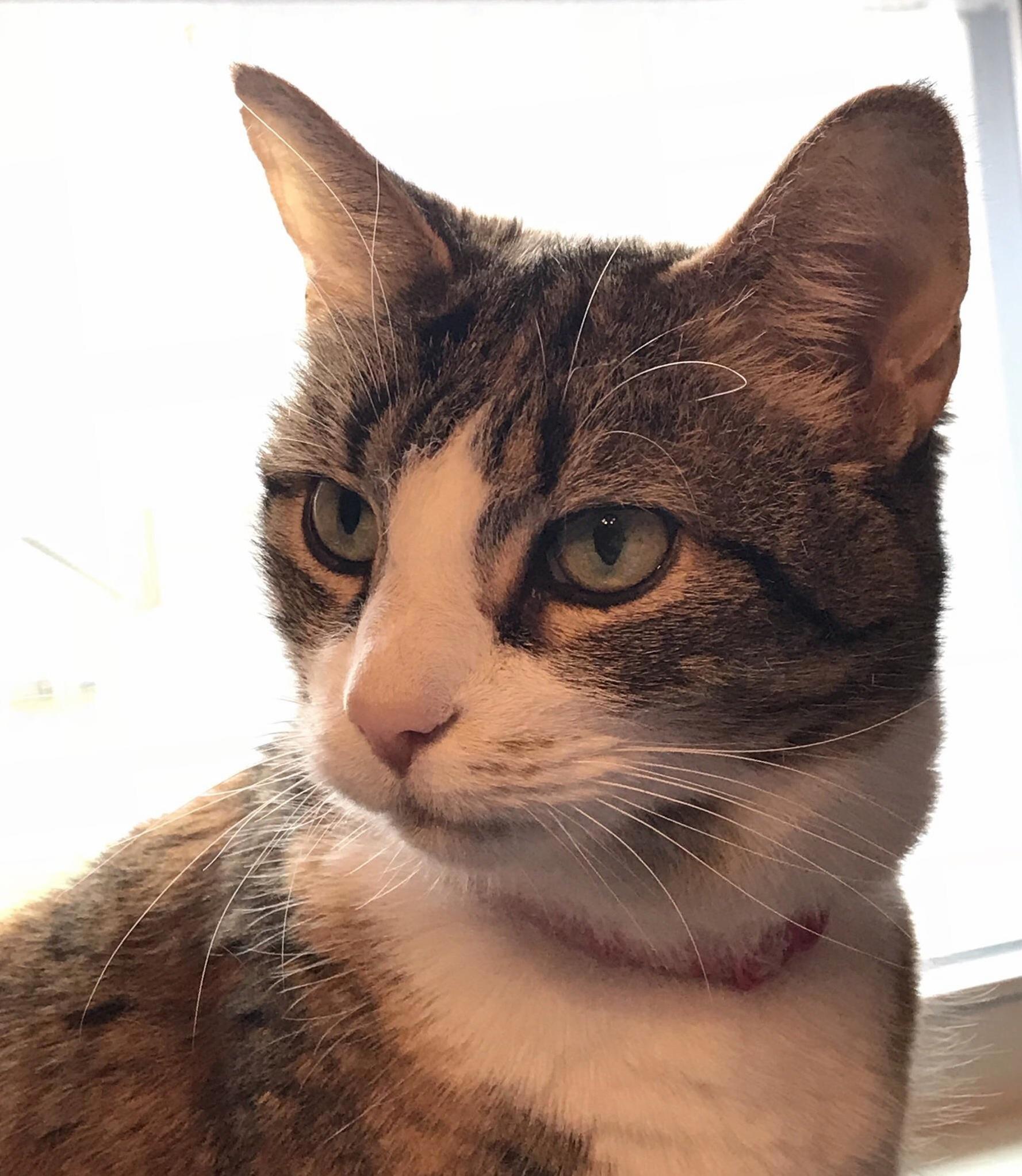 Yuki Looking Focused