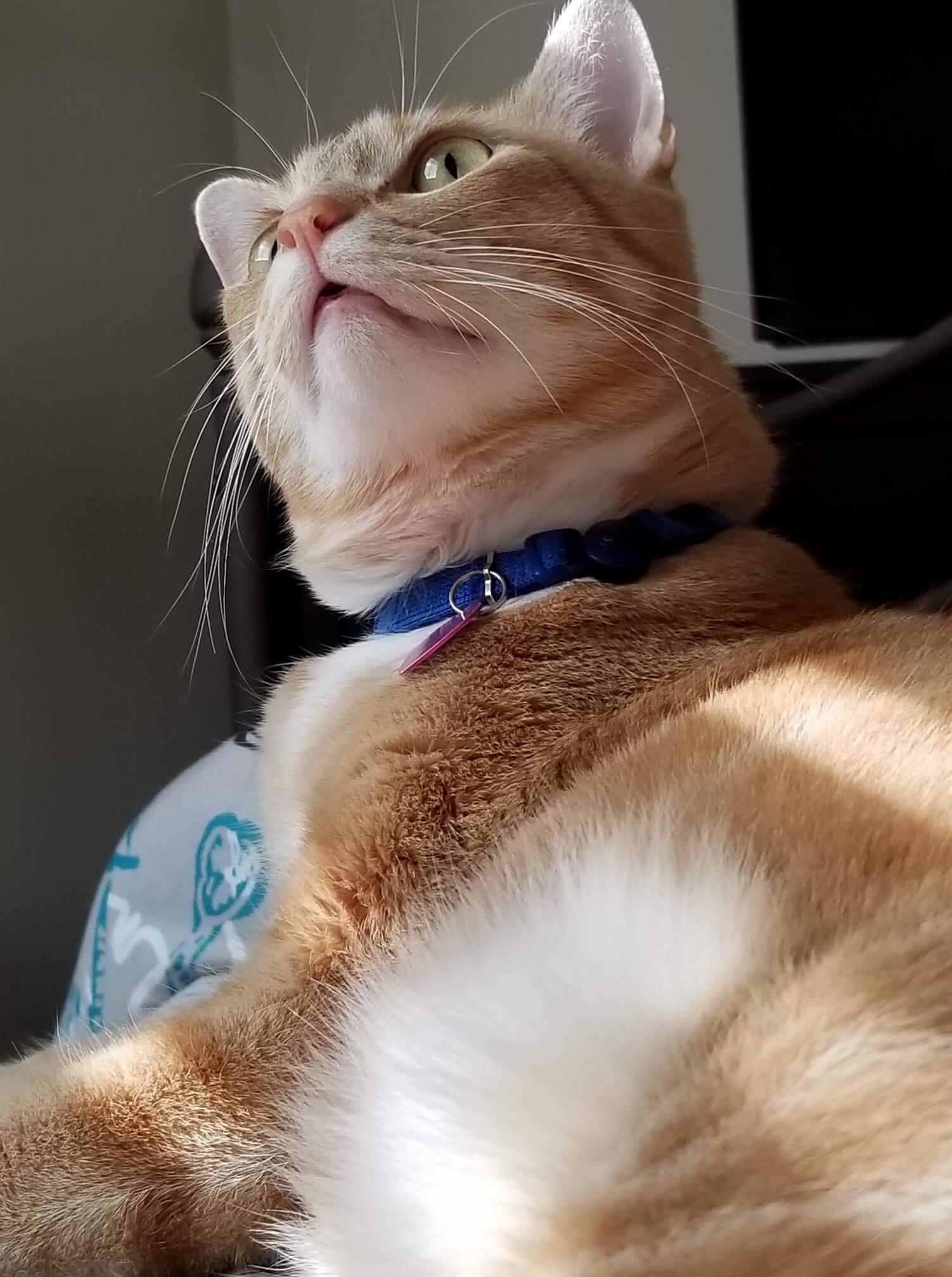 Zuko Sees a Balloon for the First Time