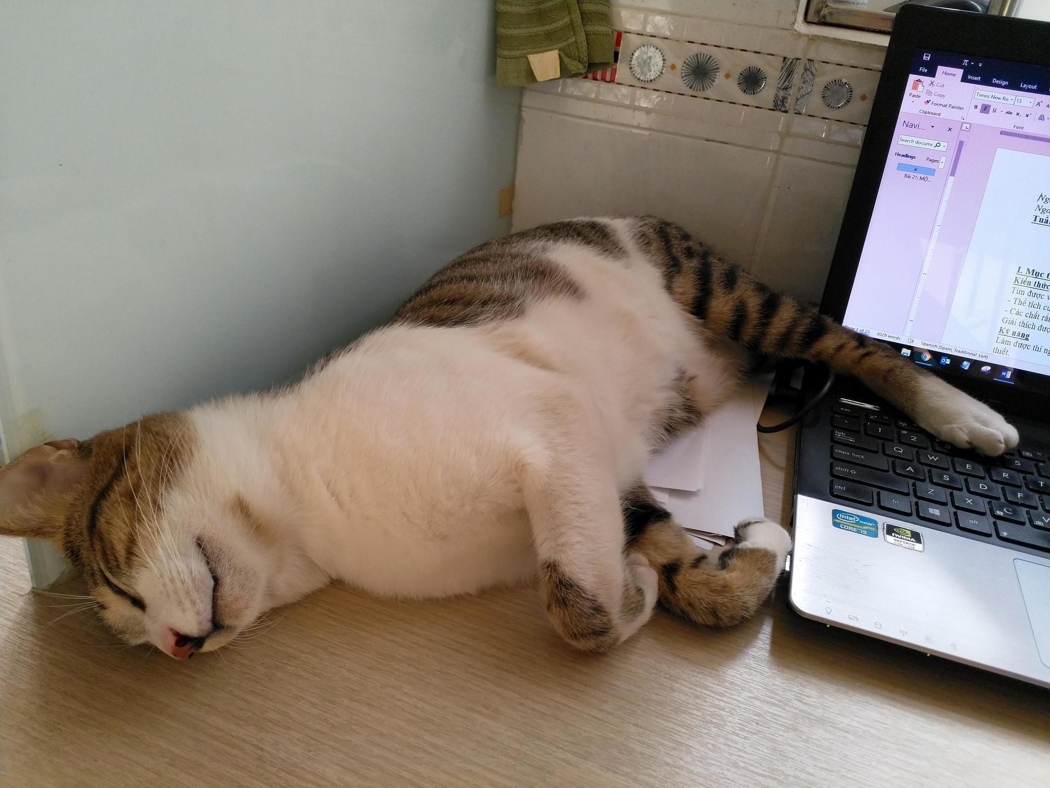 Zzzzz I Am Dreaming!