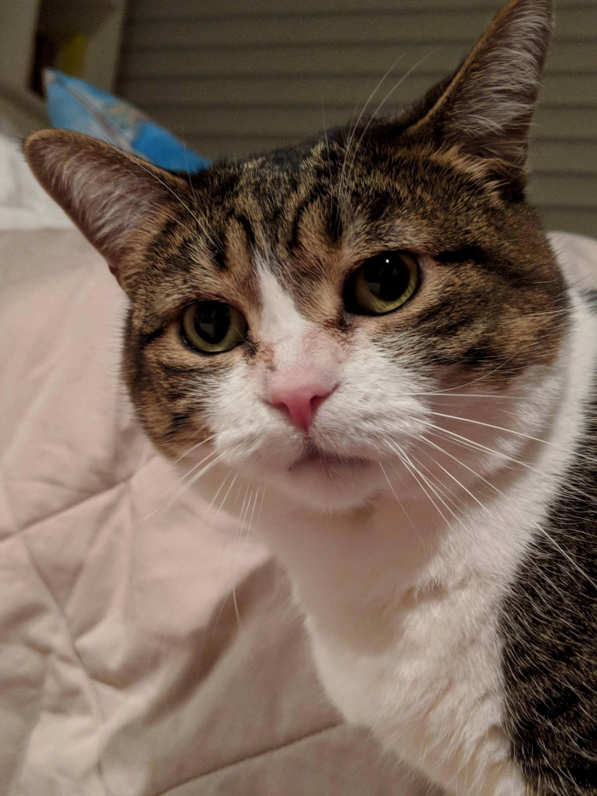 Concerned