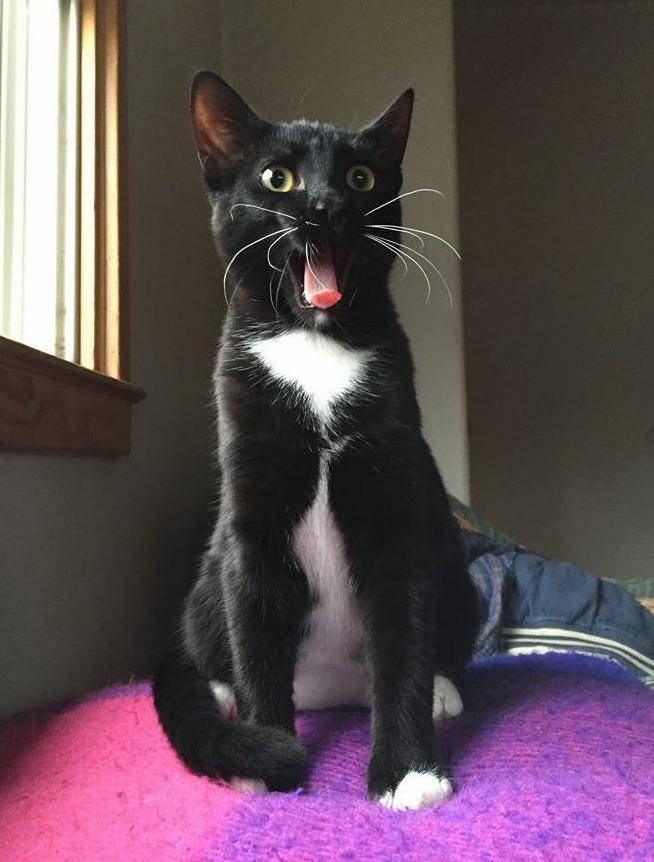 Hey!