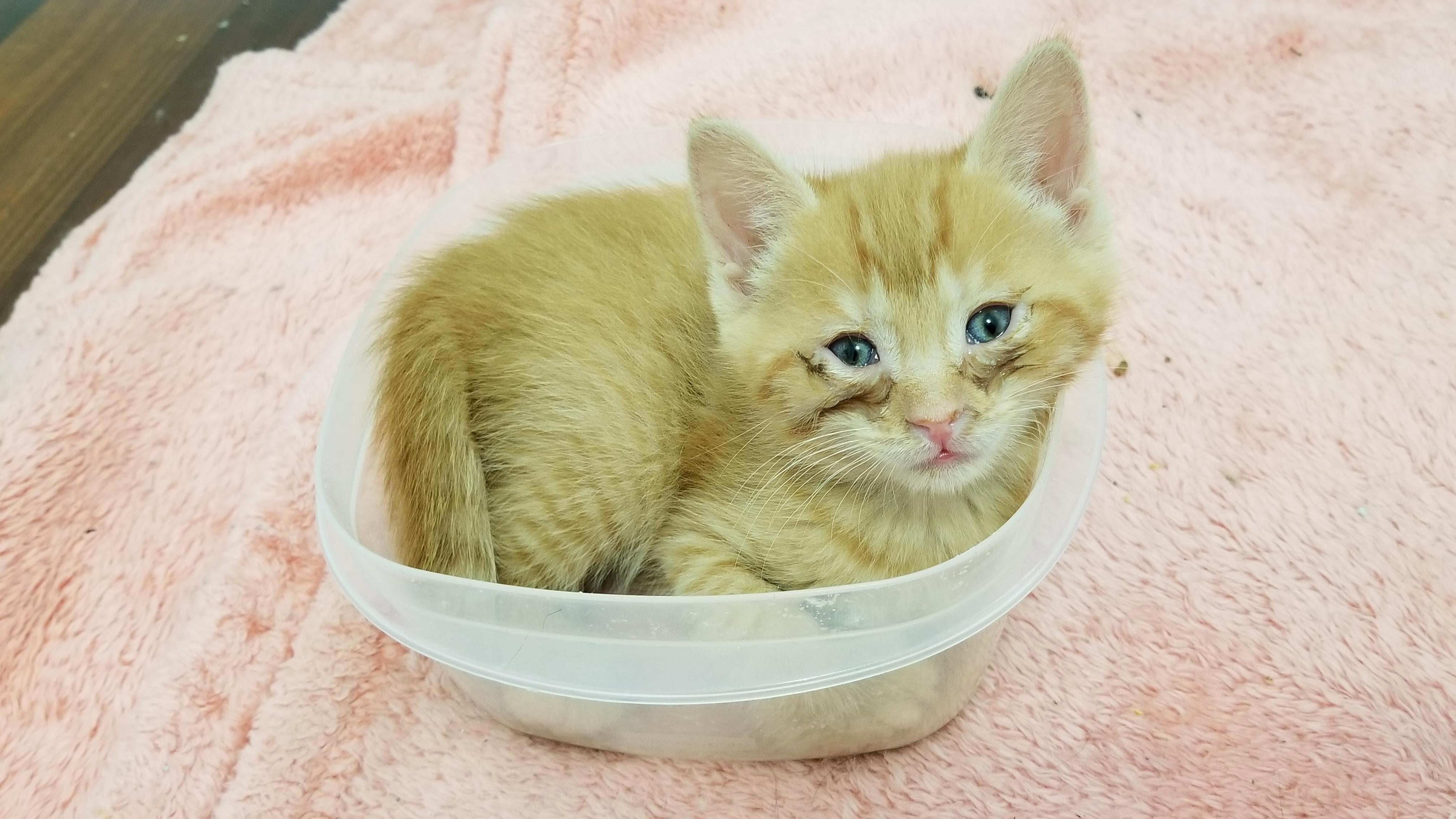 A Little Eye Goop Doesnt Hold Archie Back from Being the Most Handsome Man to Ever Live!