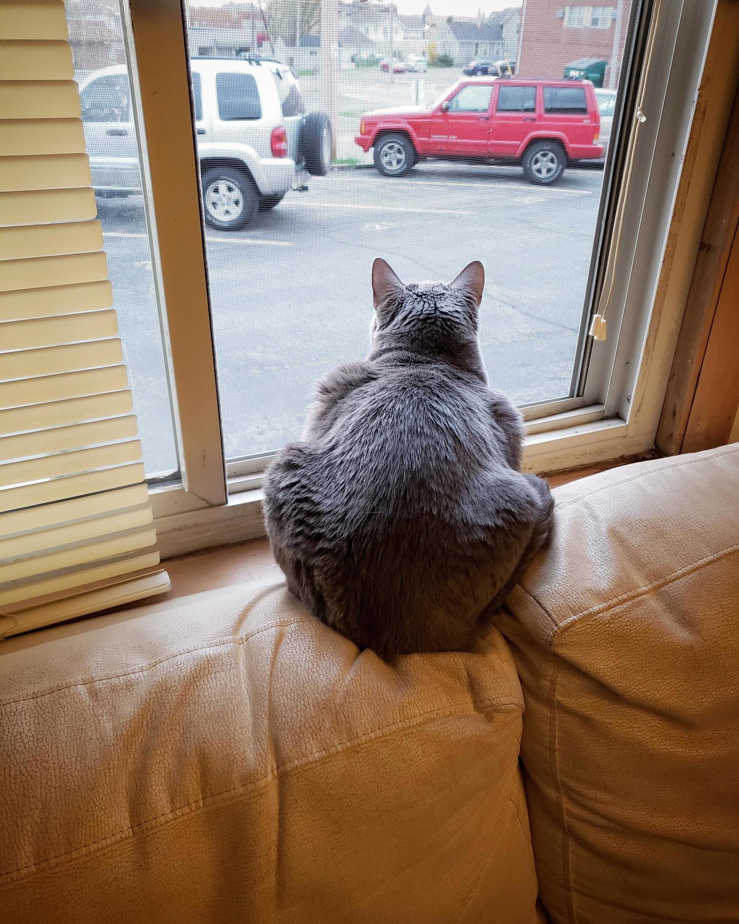 Abby Spent Her Morning Chatting with the Birds.