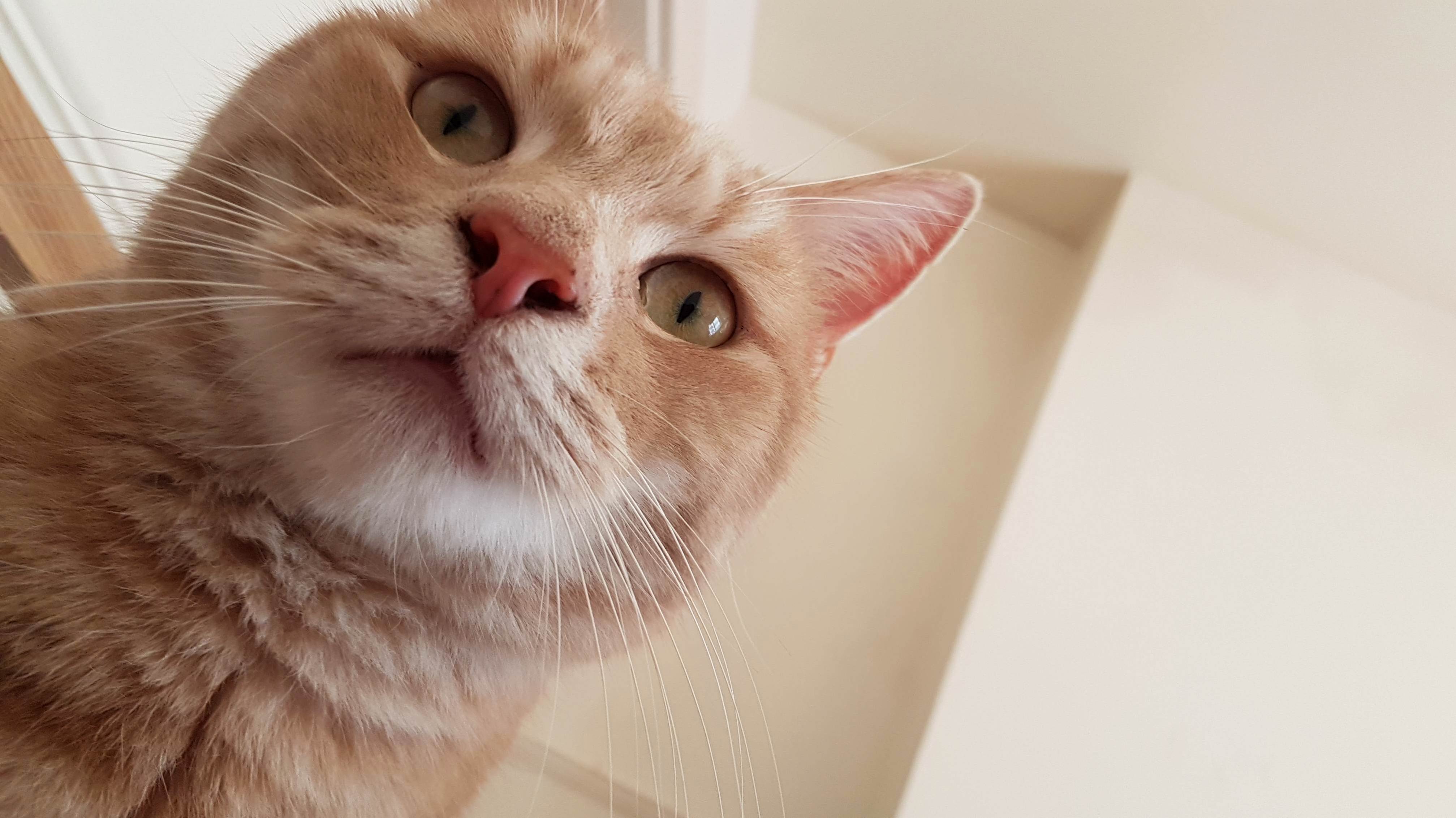 Are You Awake Yet Daddy I Want More Noms.