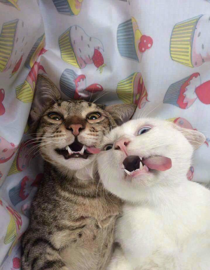 Bleeeeeppppp